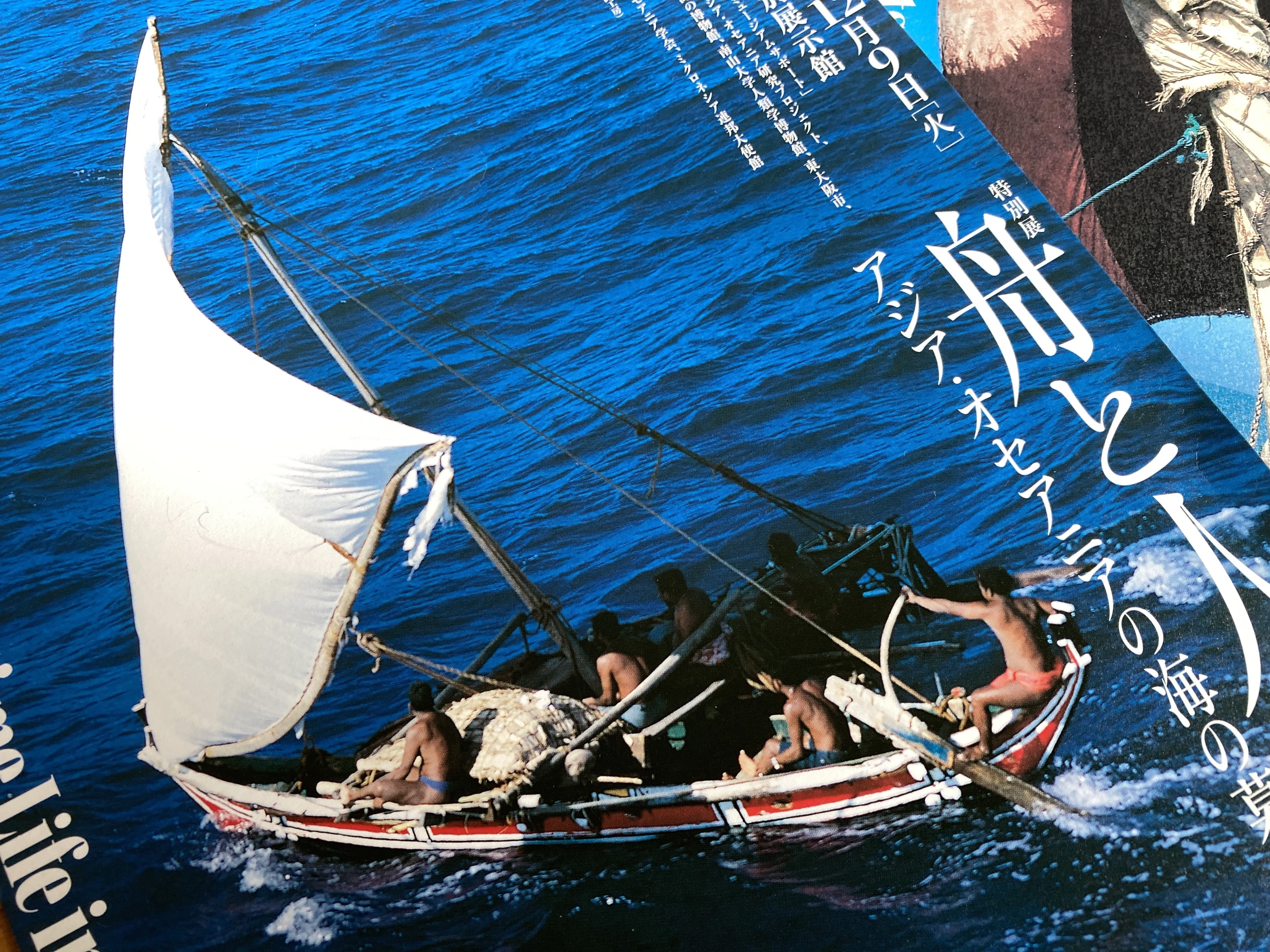 空と海しか見えないのに、どうやって進むべき方向がわかるのか？－国立