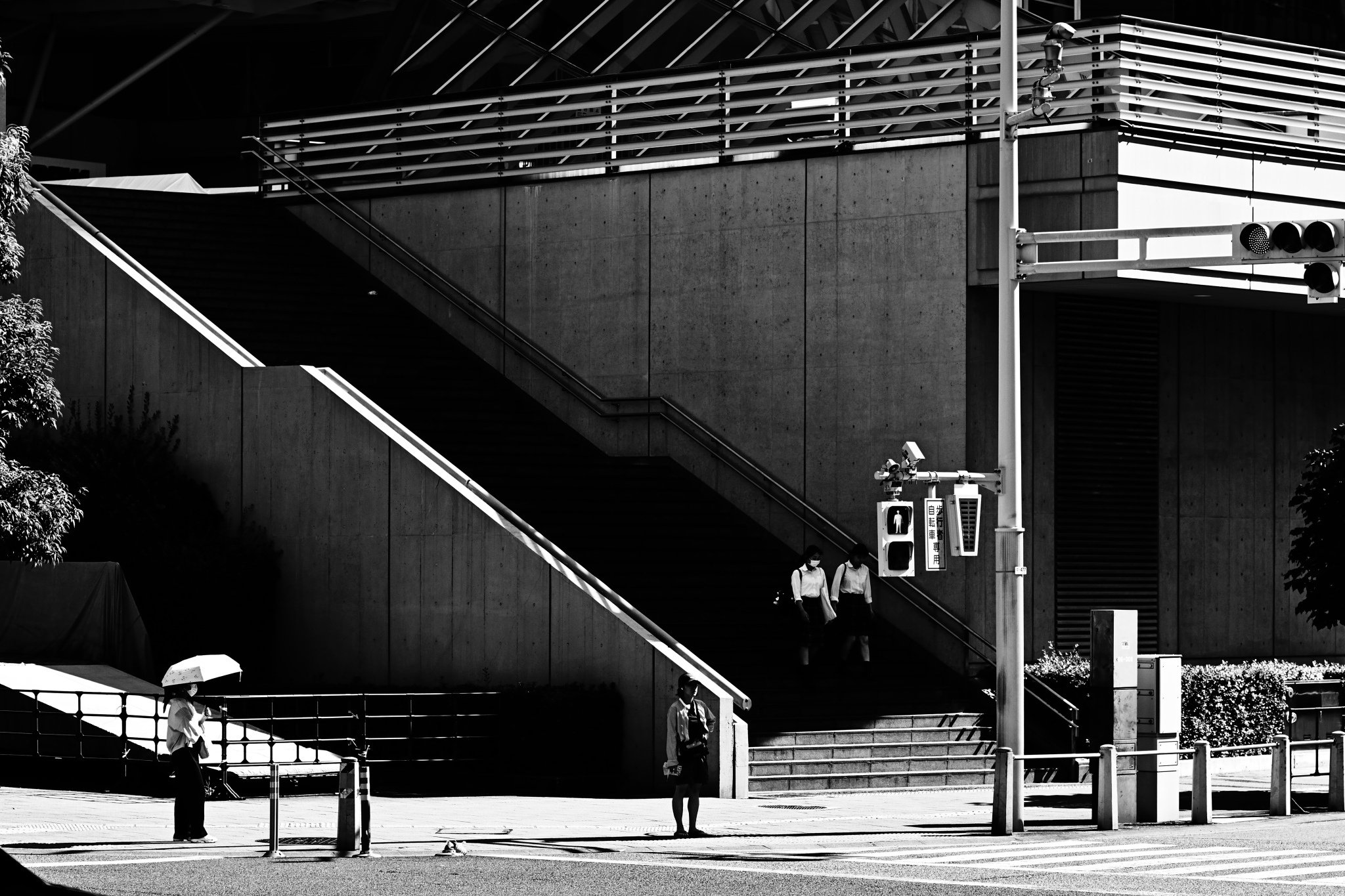 Nikonのモノクロプロファイル、「グラファイト」であそぶ Nikon D4s