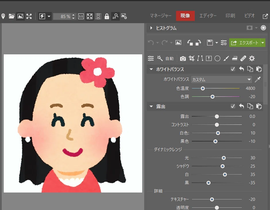 写真現像・レタッチソフト Zoner Photo Studio X について｜妄想虜囚