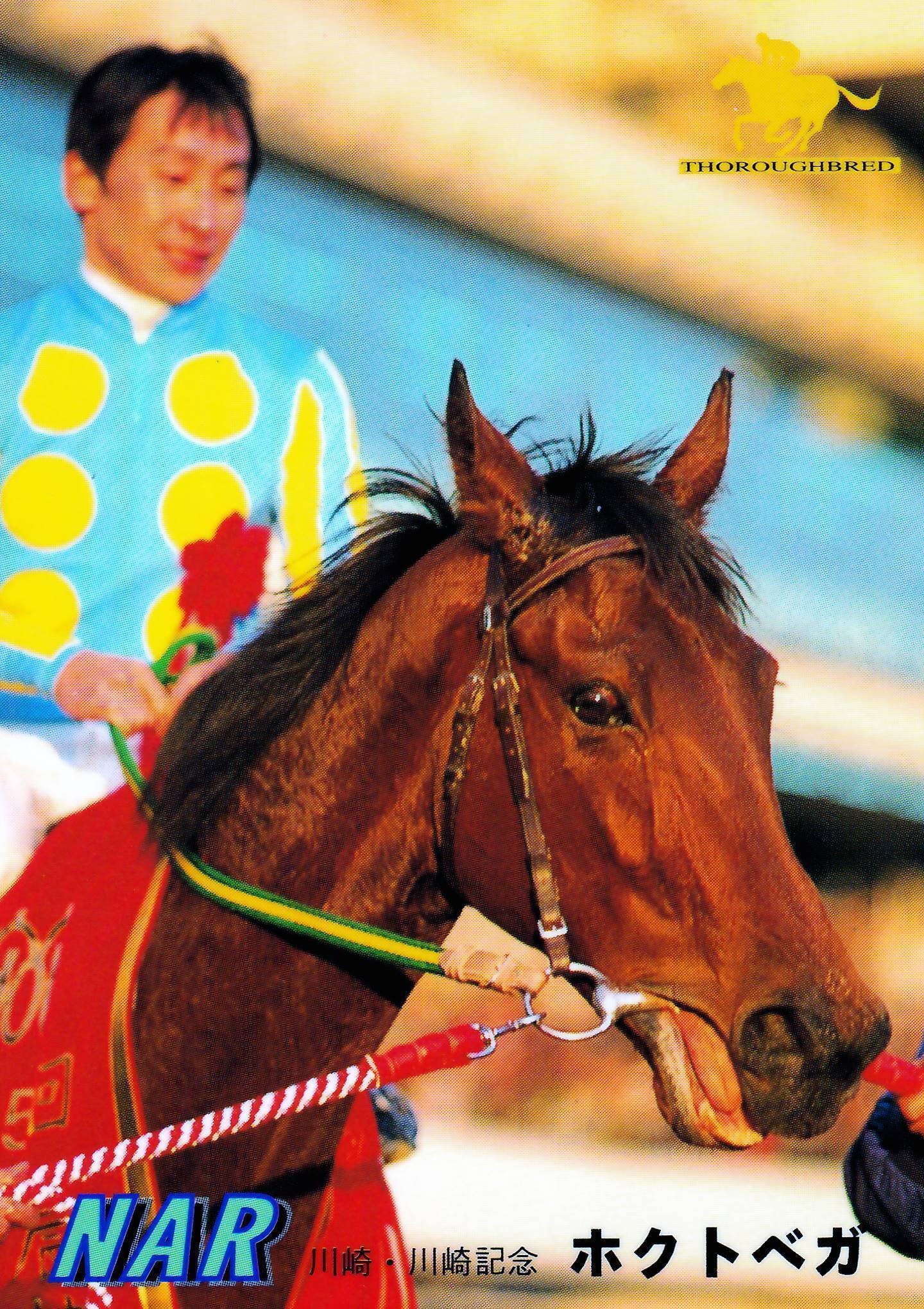 ホクトベガ｜BarracudaKing