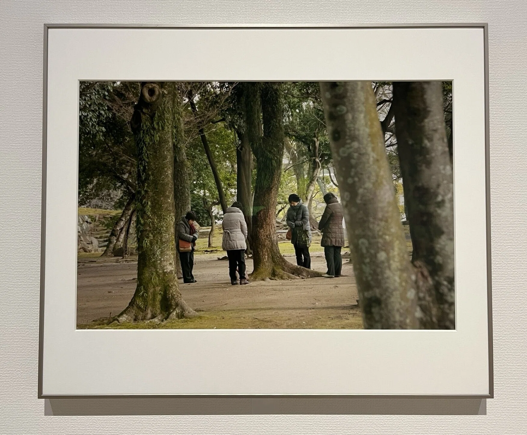 展覧会 #61 作家の現在 これまでとこれから@東京都写真美術館