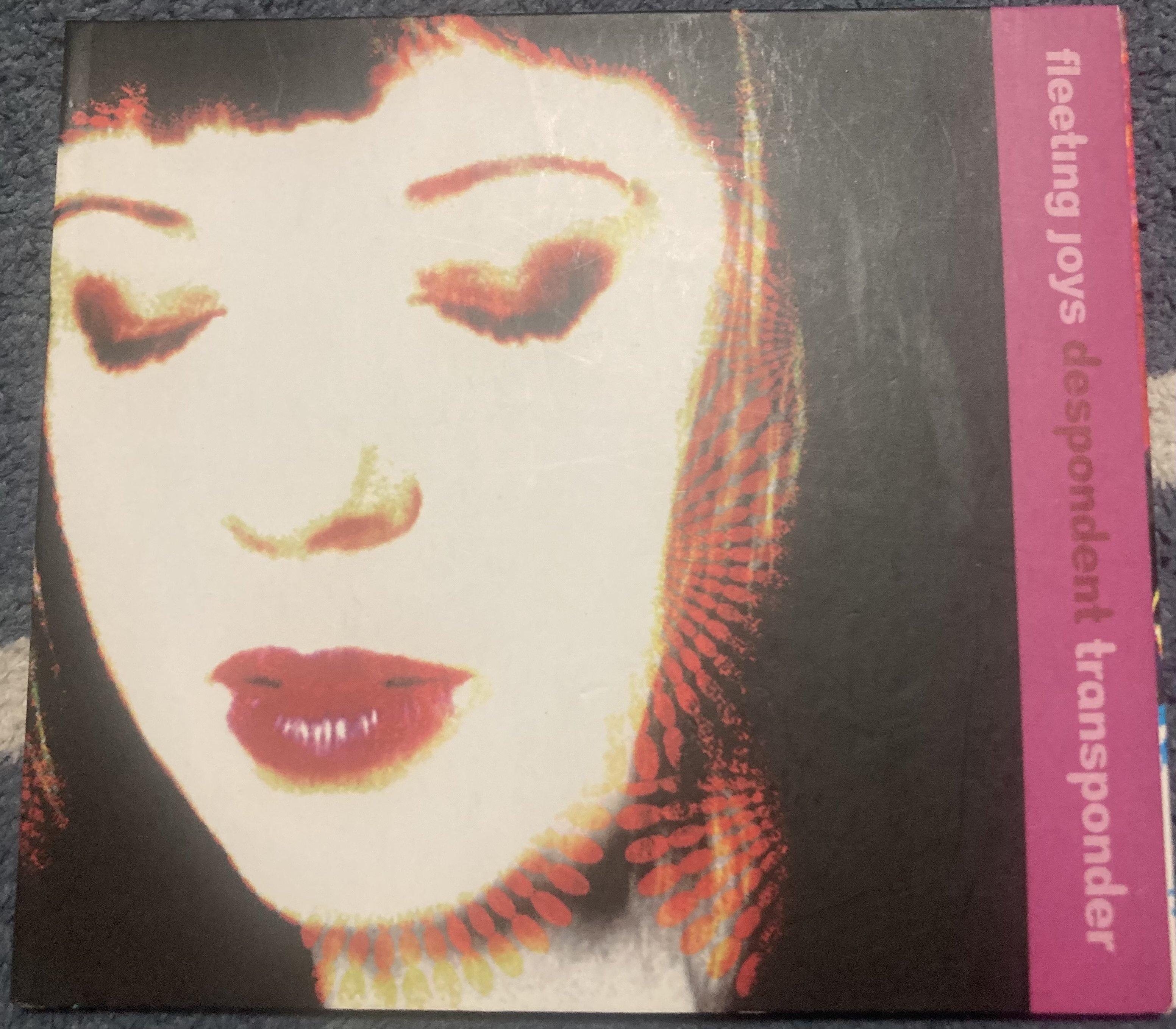 Fleeting Joys/Despondent Transponder アルバムレビュー そして 追悼