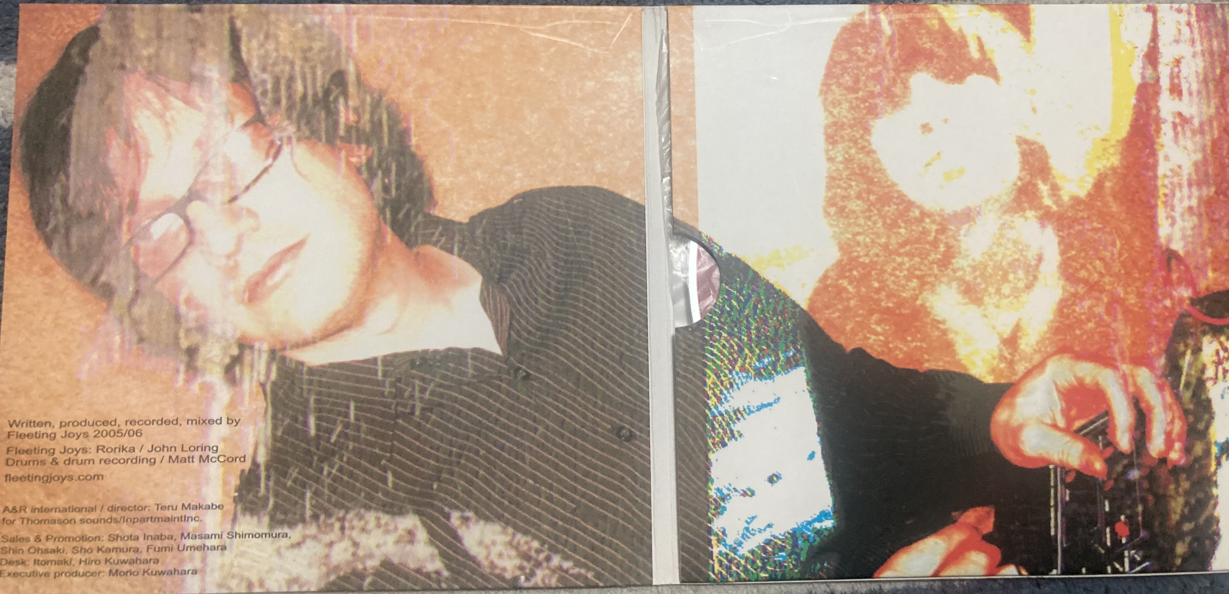 Fleeting Joys/Despondent Transponder アルバムレビュー そして 追悼