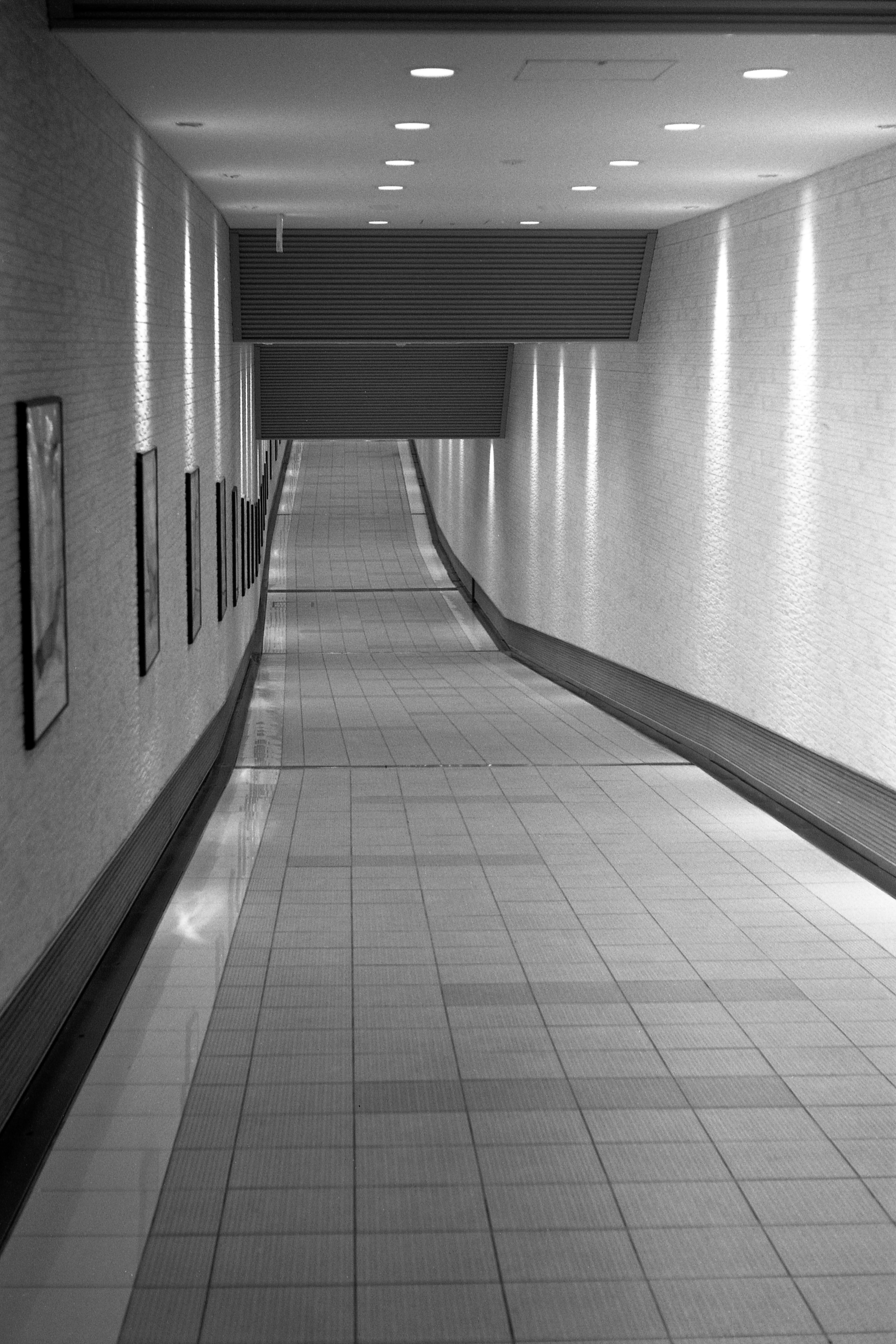 超高精細・高解像画像とは、ヌメヌメの事を言う。｜Miyake