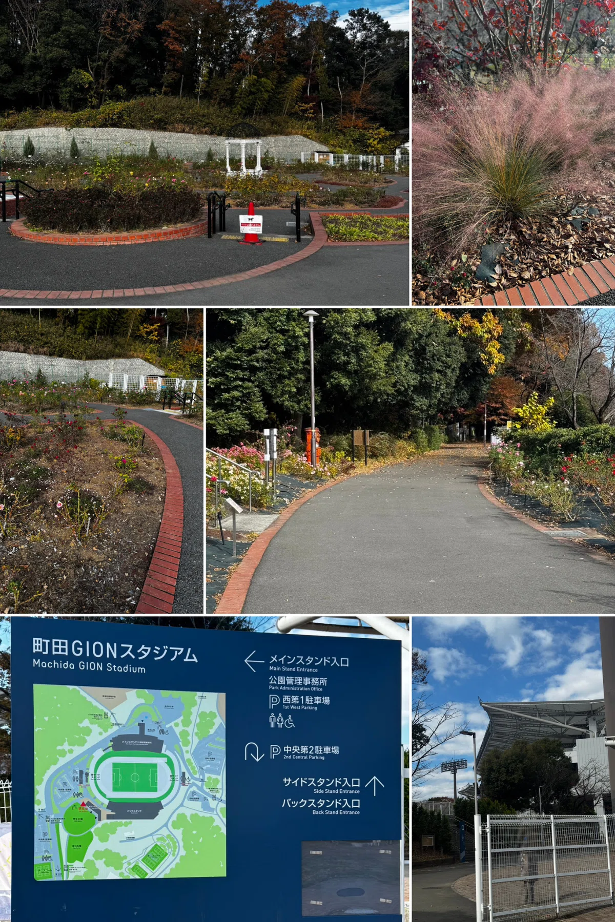 野津田公園のばら広場と園内の散策路。ミューレンベルギアや咲き残ったバラ、スタジアム案内板などをまとめた写真