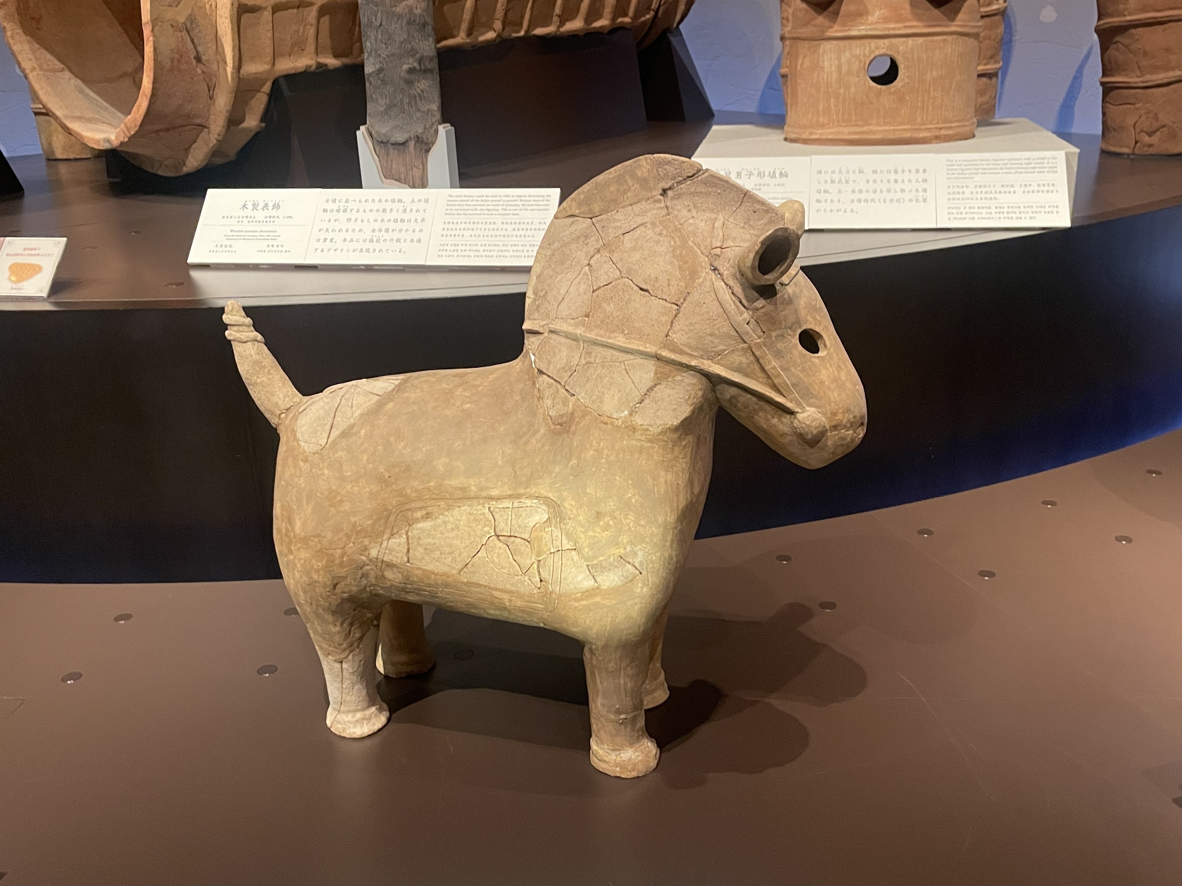 ポにわ、地元に帰省する（きゅーはく→那珂川市）｜古墳中心の生活