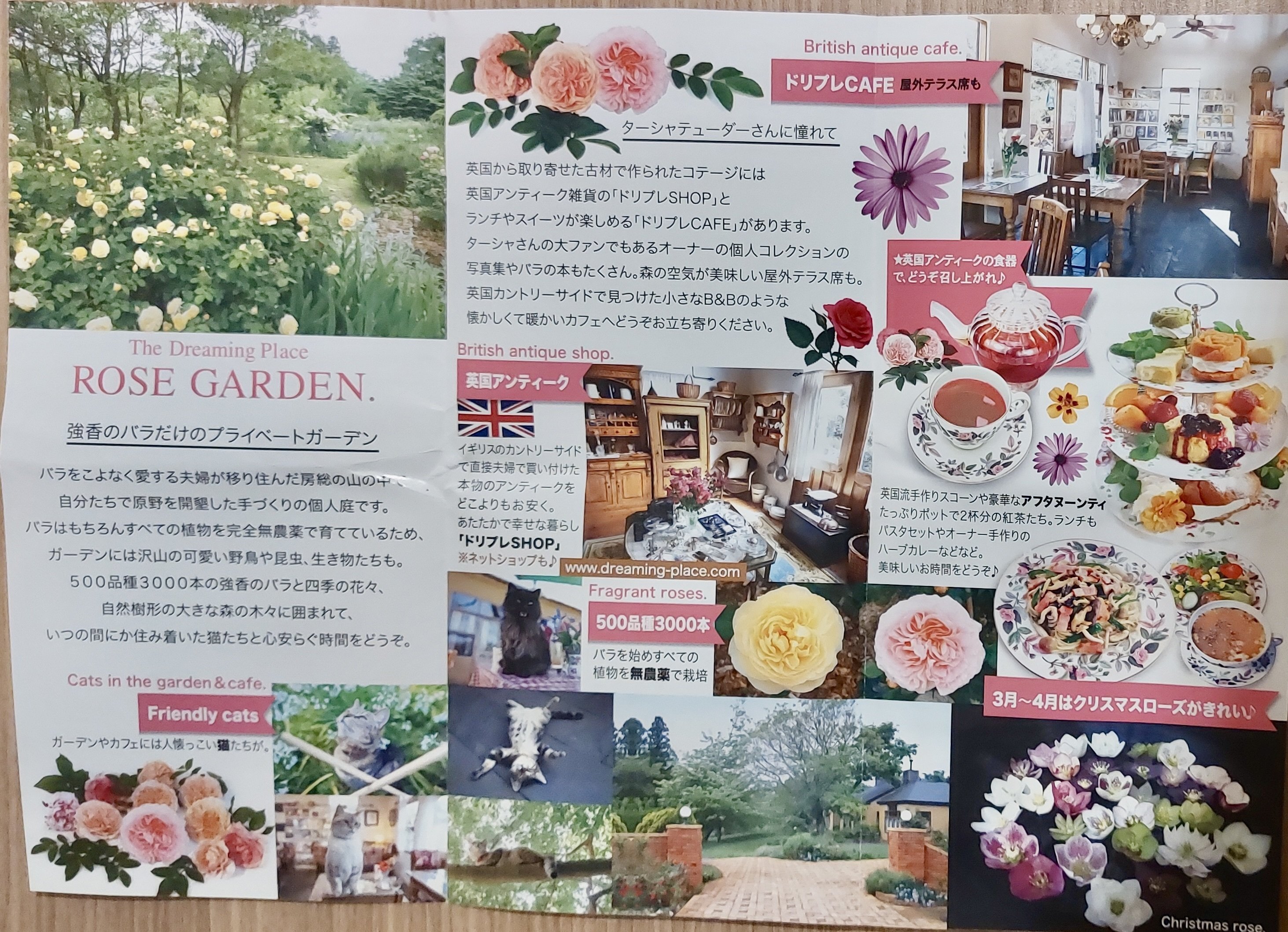 千葉県 猫と触れ合えるスポット】君津市 ローズガーデンをInsta360 GO