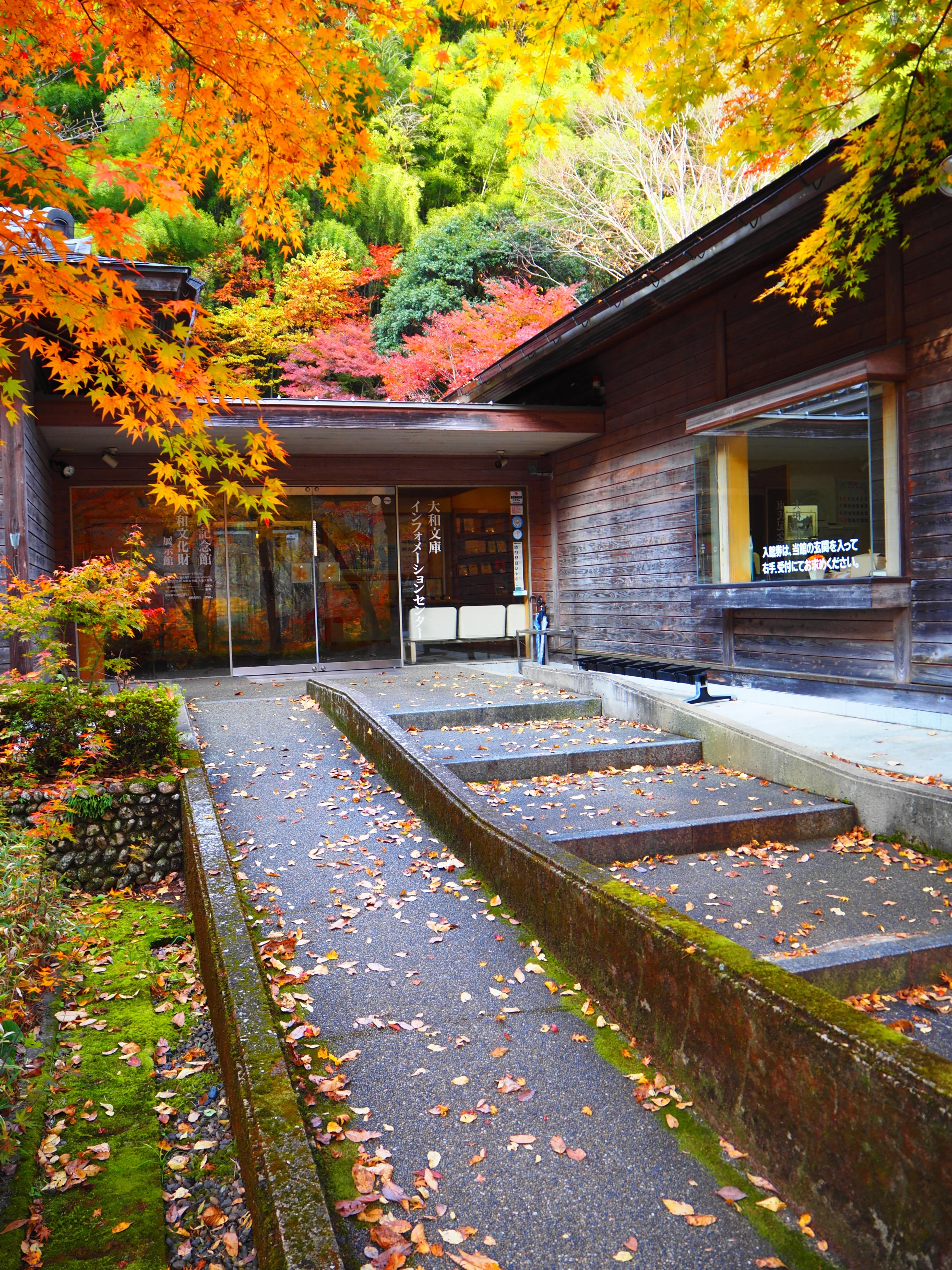 郡上で陶酔する極上の紅葉風景 2025｜すすむ