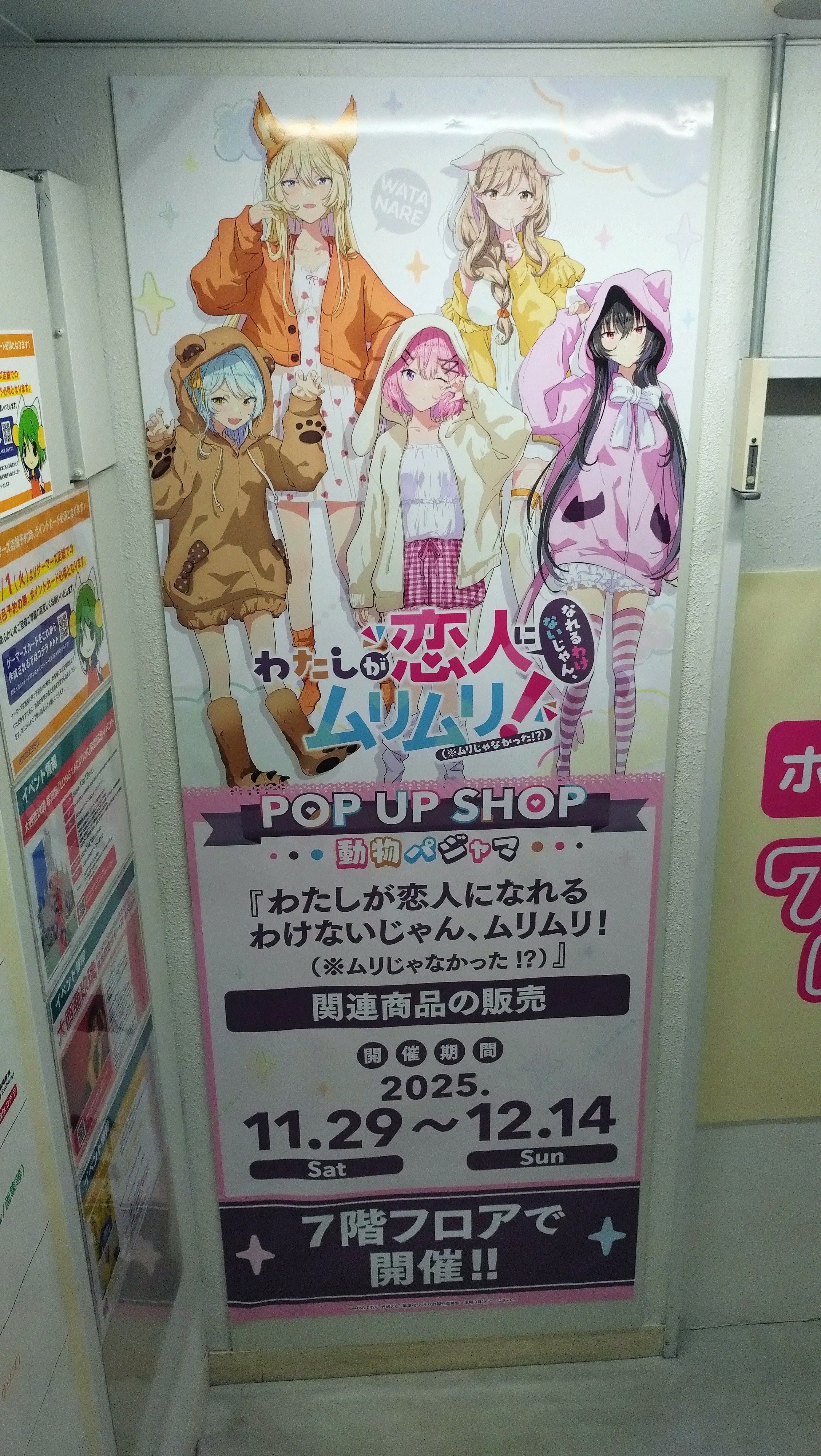 わたなれPOP UP SHOP行ってきた！！｜立風太