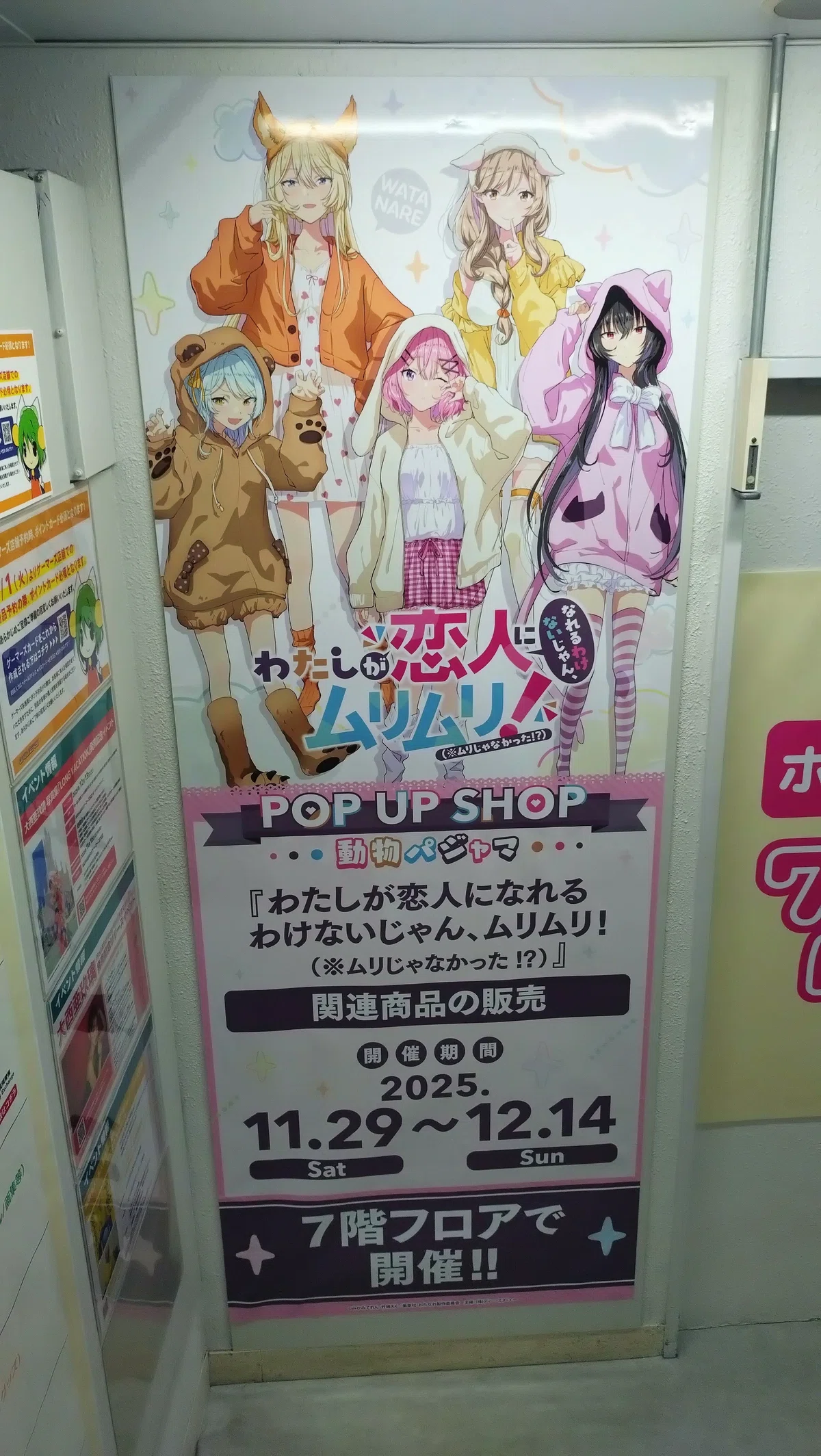 わたなれPOP UP SHOP行ってきた！！｜立風太