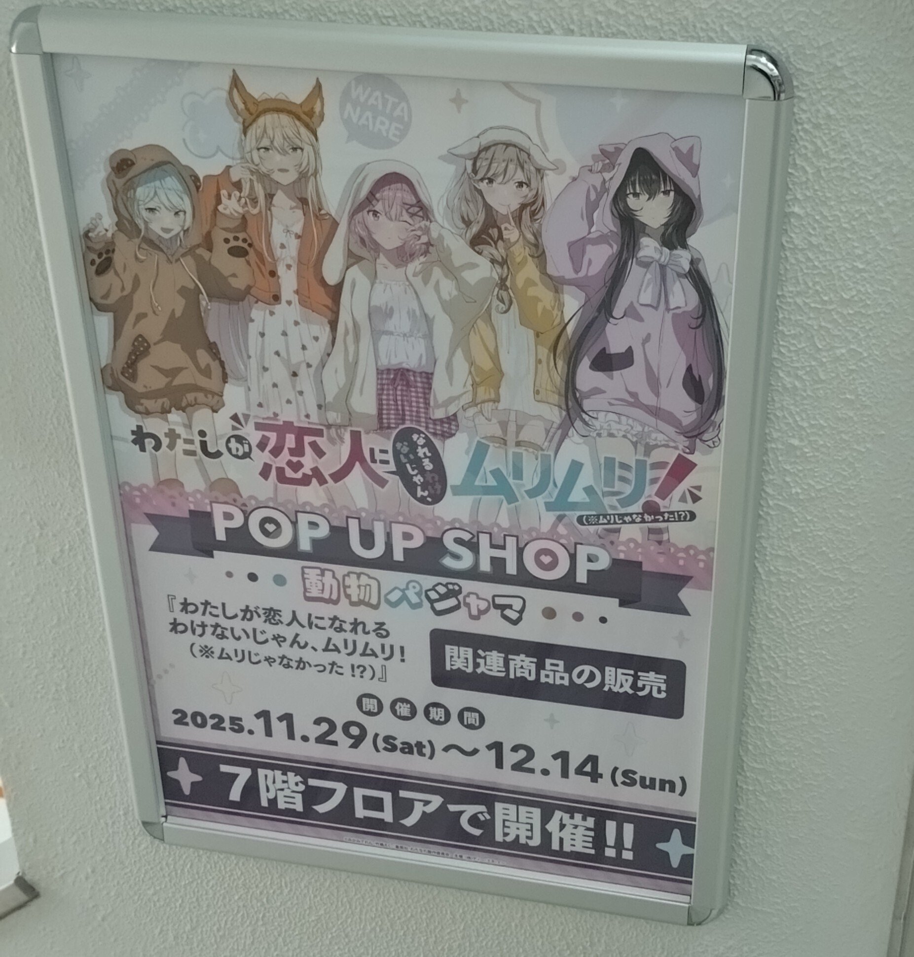 わたなれPOP UP SHOP行ってきた！！｜立風太