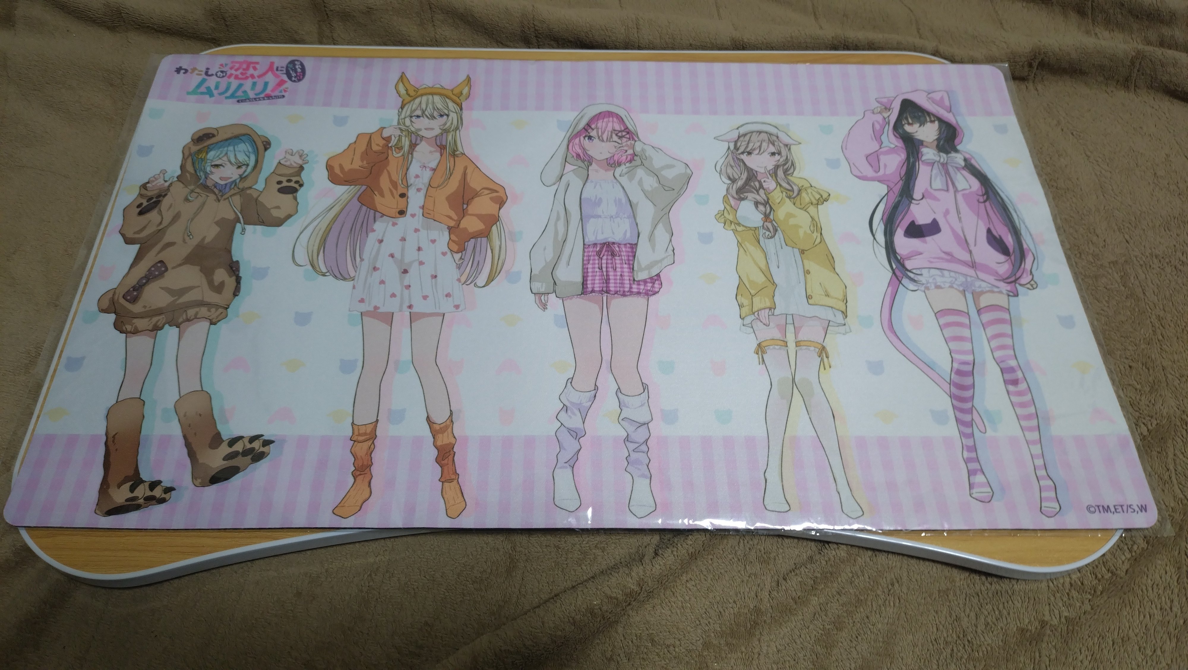 わたなれPOP UP SHOP行ってきた！！｜立風太