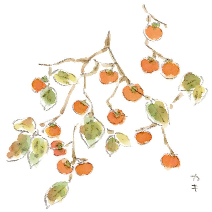 山柿、かな。｜ほっこり絵日記