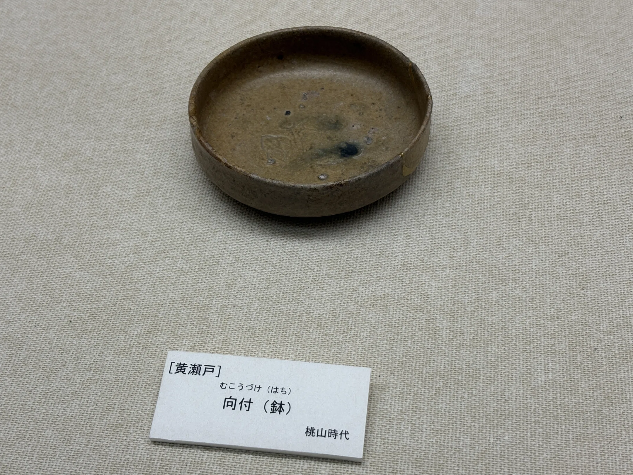 たのしいぞ郷土資料館 岐阜県瑞浪市「瑞浪市陶磁資料館」｜nuimogu