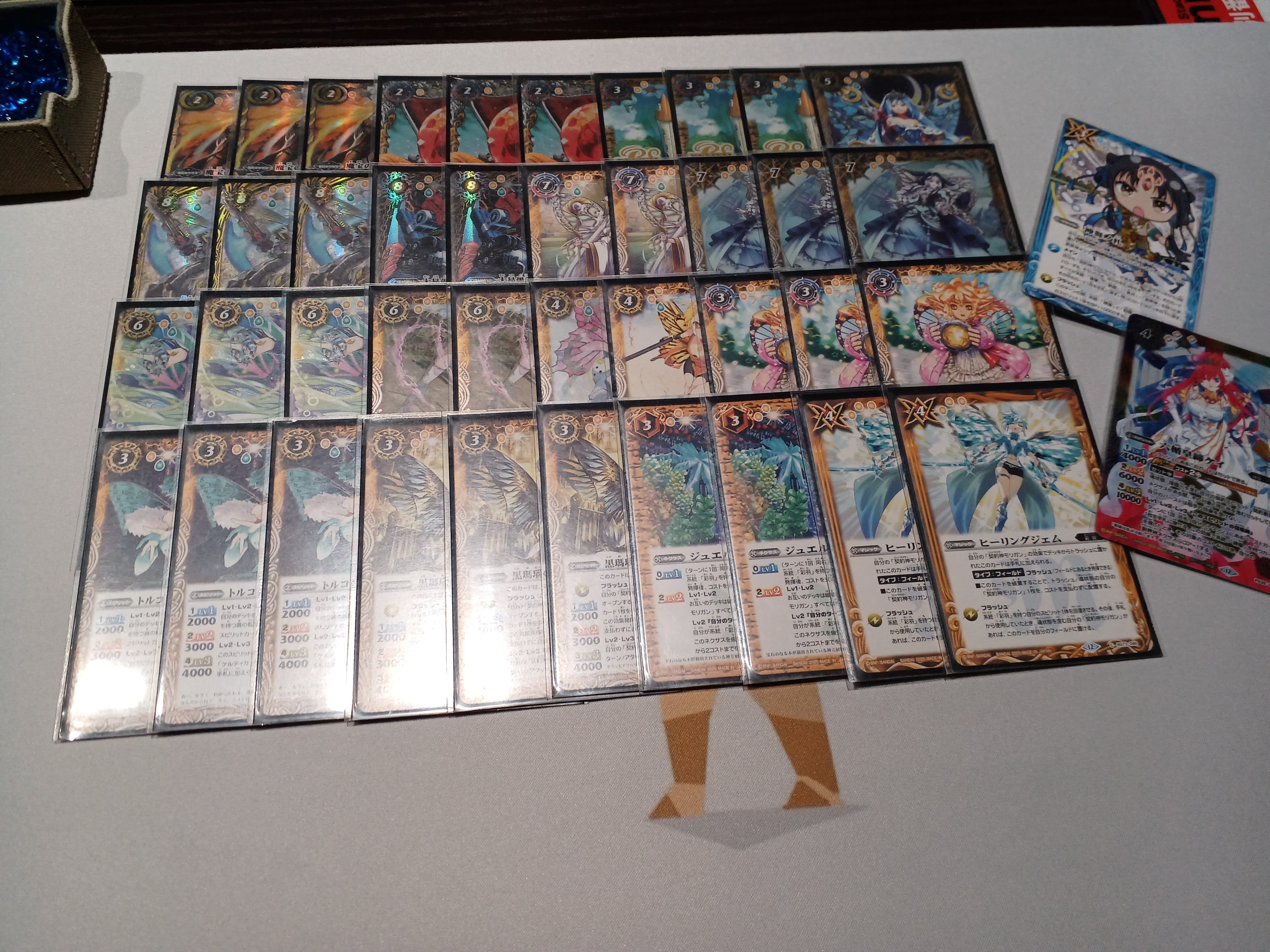 彩羽 モリガン｜bakasa