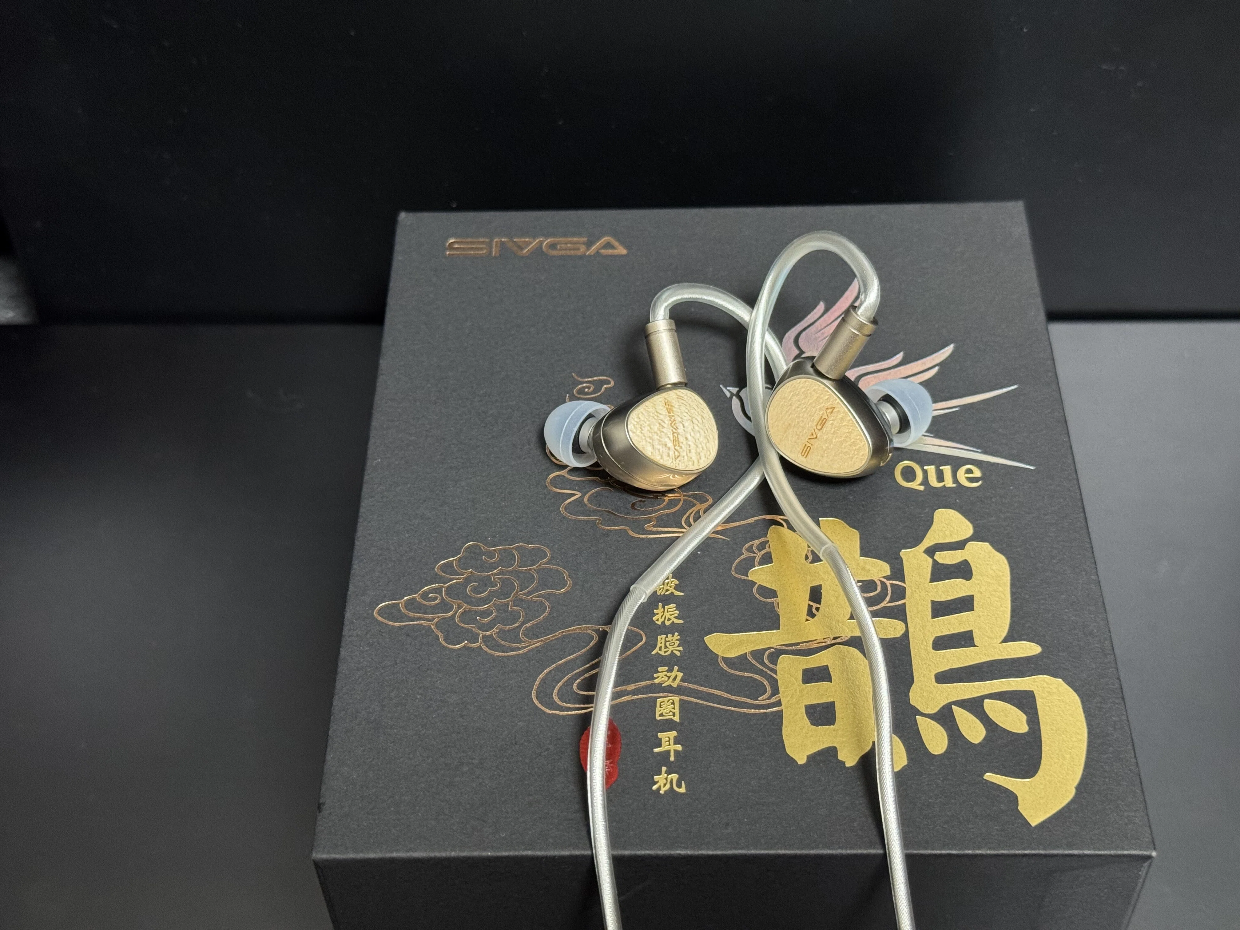 レビュー】世界を音で彩る沼に、頭から入る人間の最後の言葉【中華