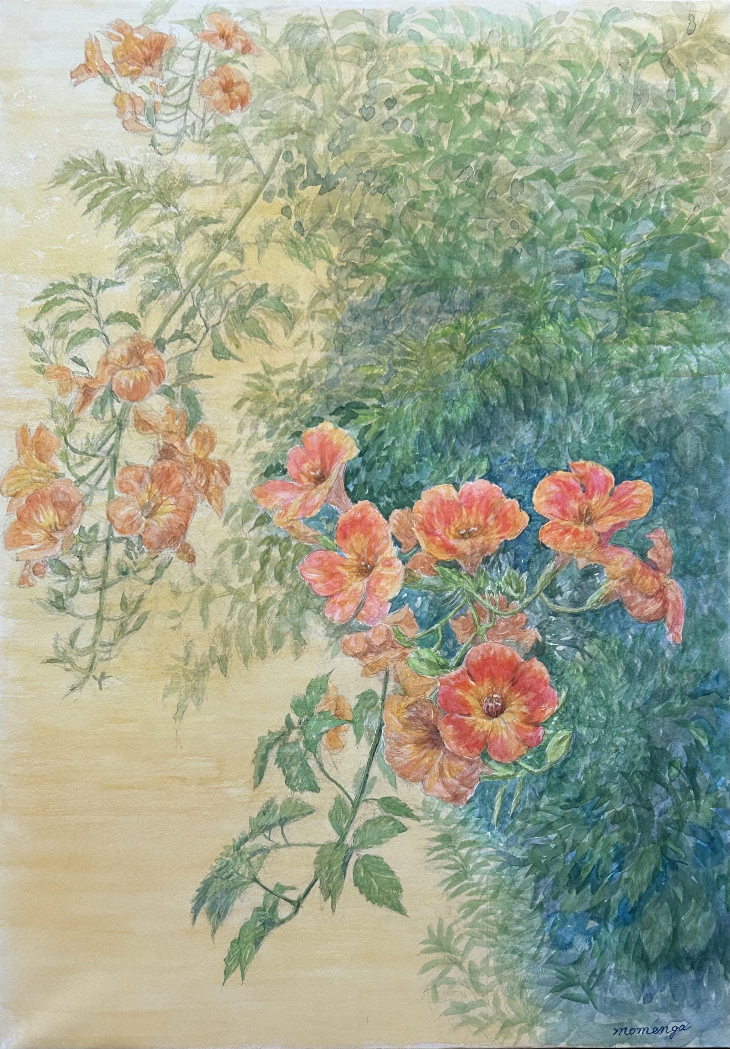 水彩画 『夕映えの凌霄花』｜momenaga