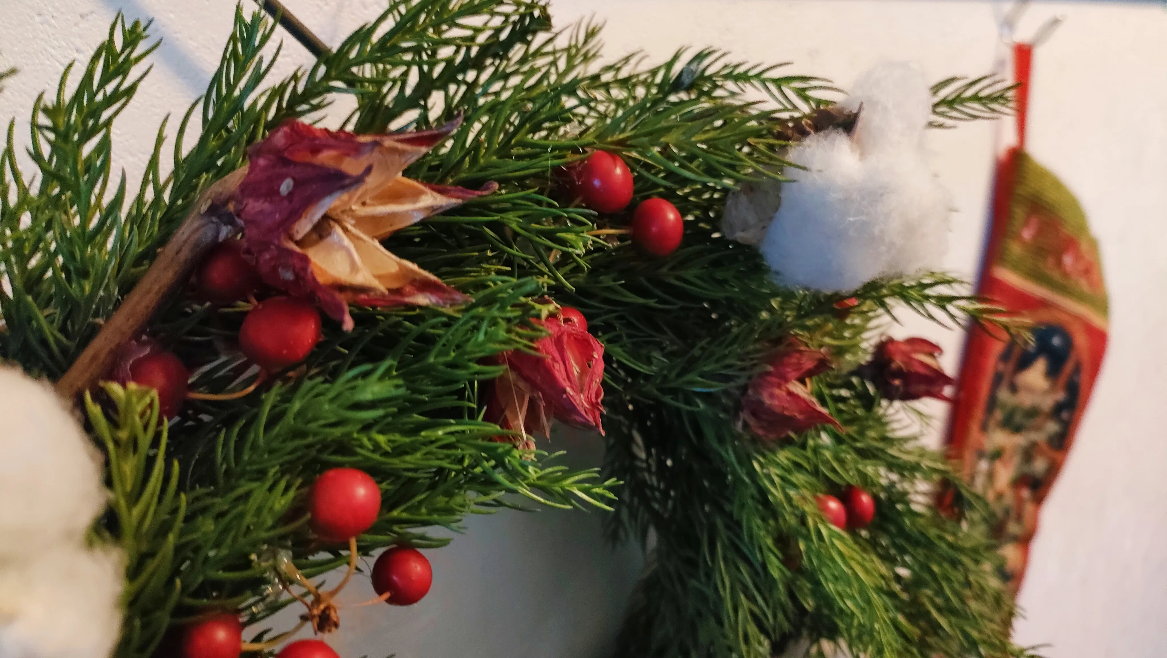 美容食ローゼルに恋した主婦の植育日記:ローゼルのクリスマスリース