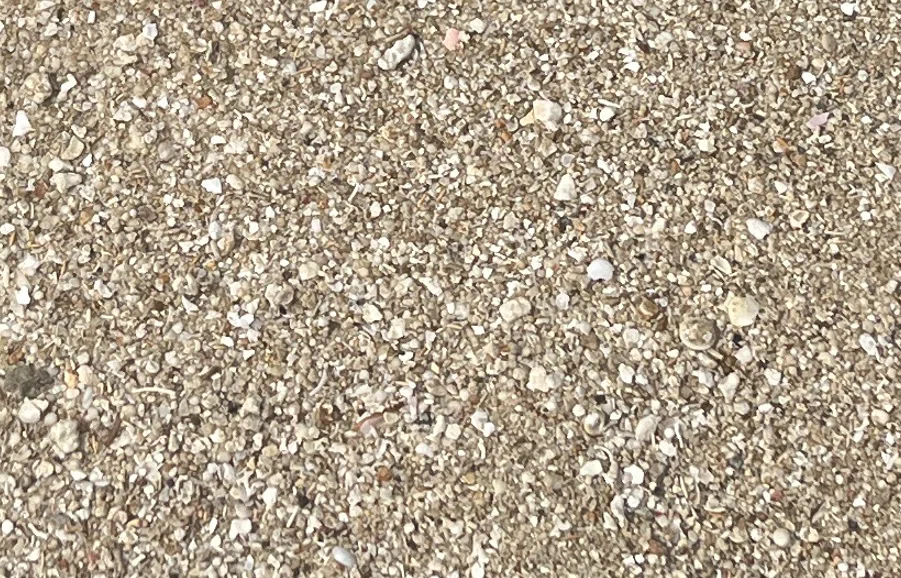 Shellfish Limestone AI Utilization for Non-Engineers: 'Recommendations for Traveling with ...