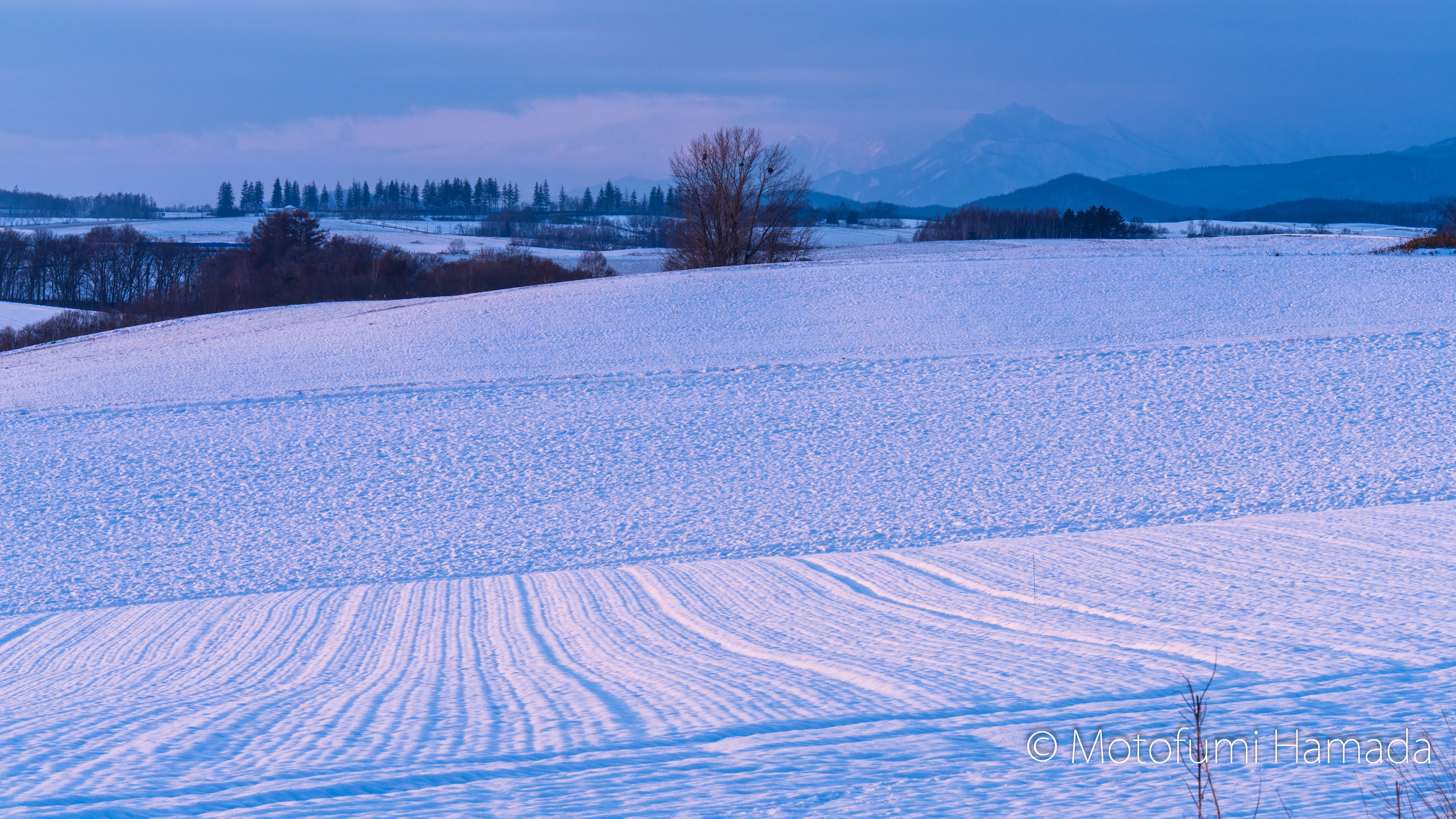 美瑛の冬をさがして｜浜田 元史 Hamada. Motofumi