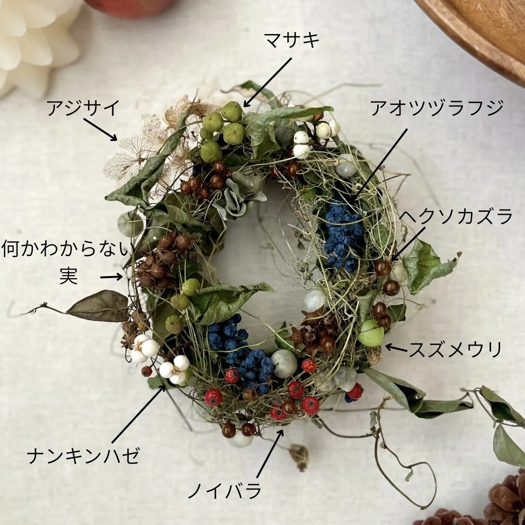 Seasonal Newsletter November 2025｜草つむぎ