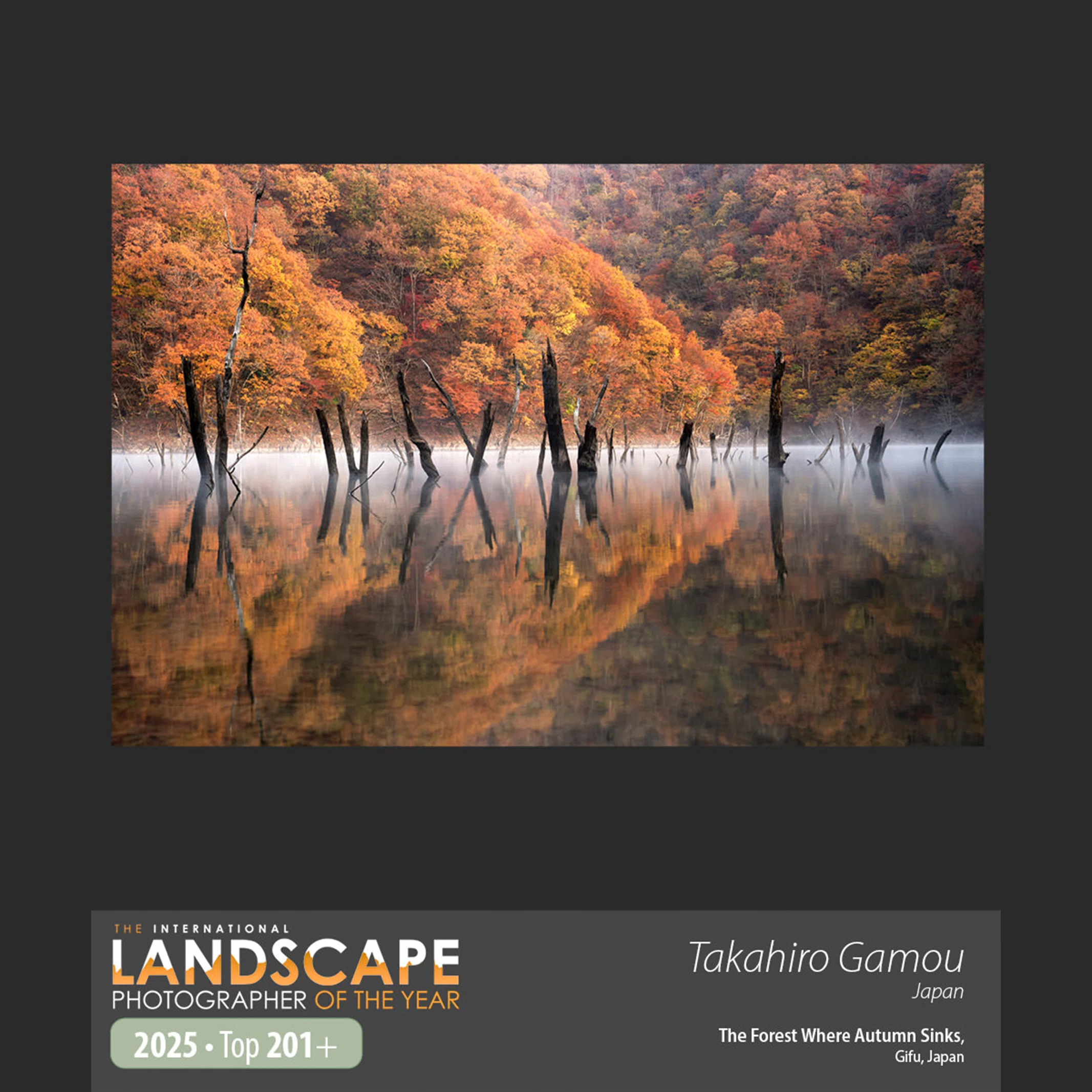 風景に特化した国際フォトコンテスト ILPOTY 2025にてTOP201に選出され