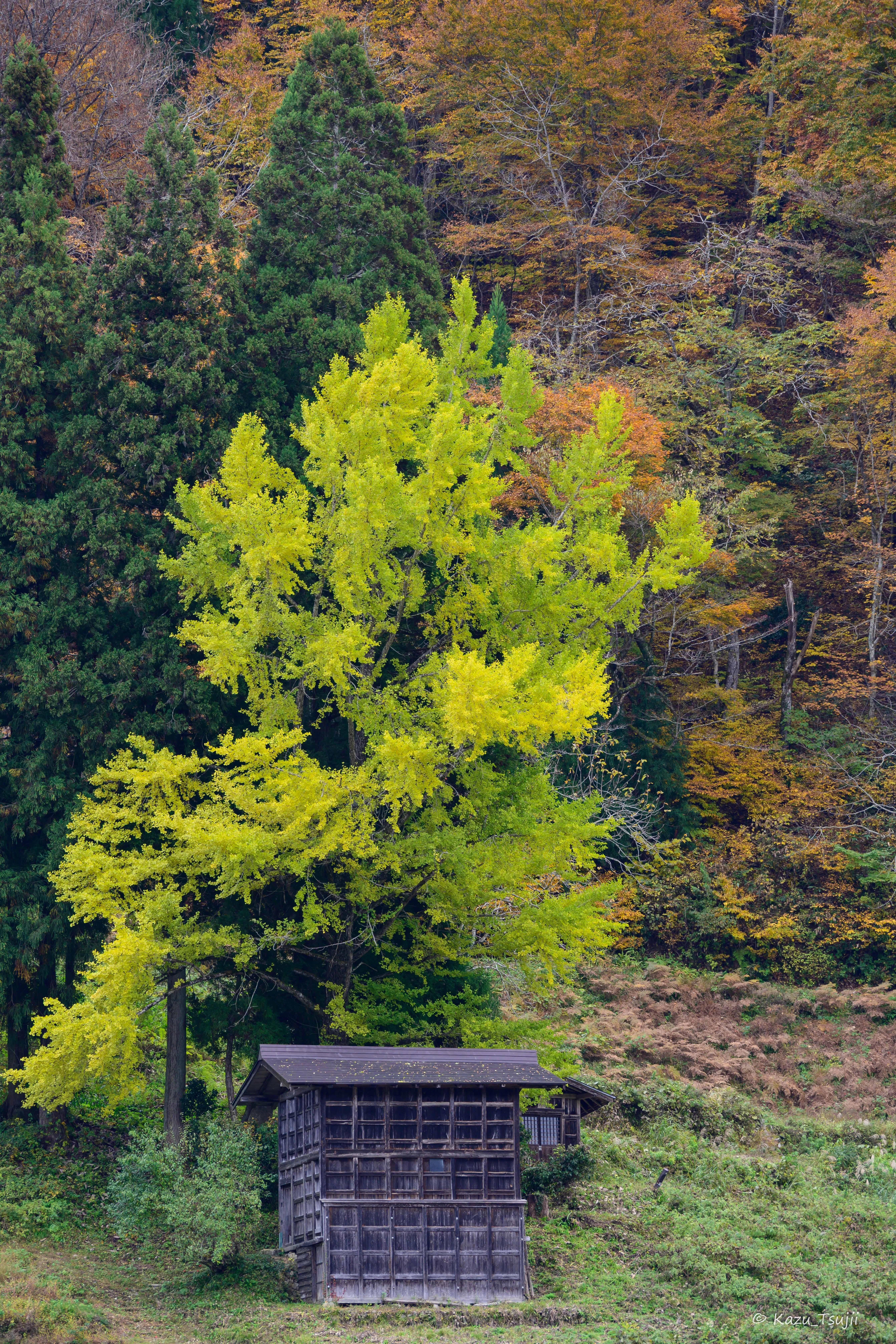 A Photo Journey in Search of Japan's Original Landscapes｜風景の