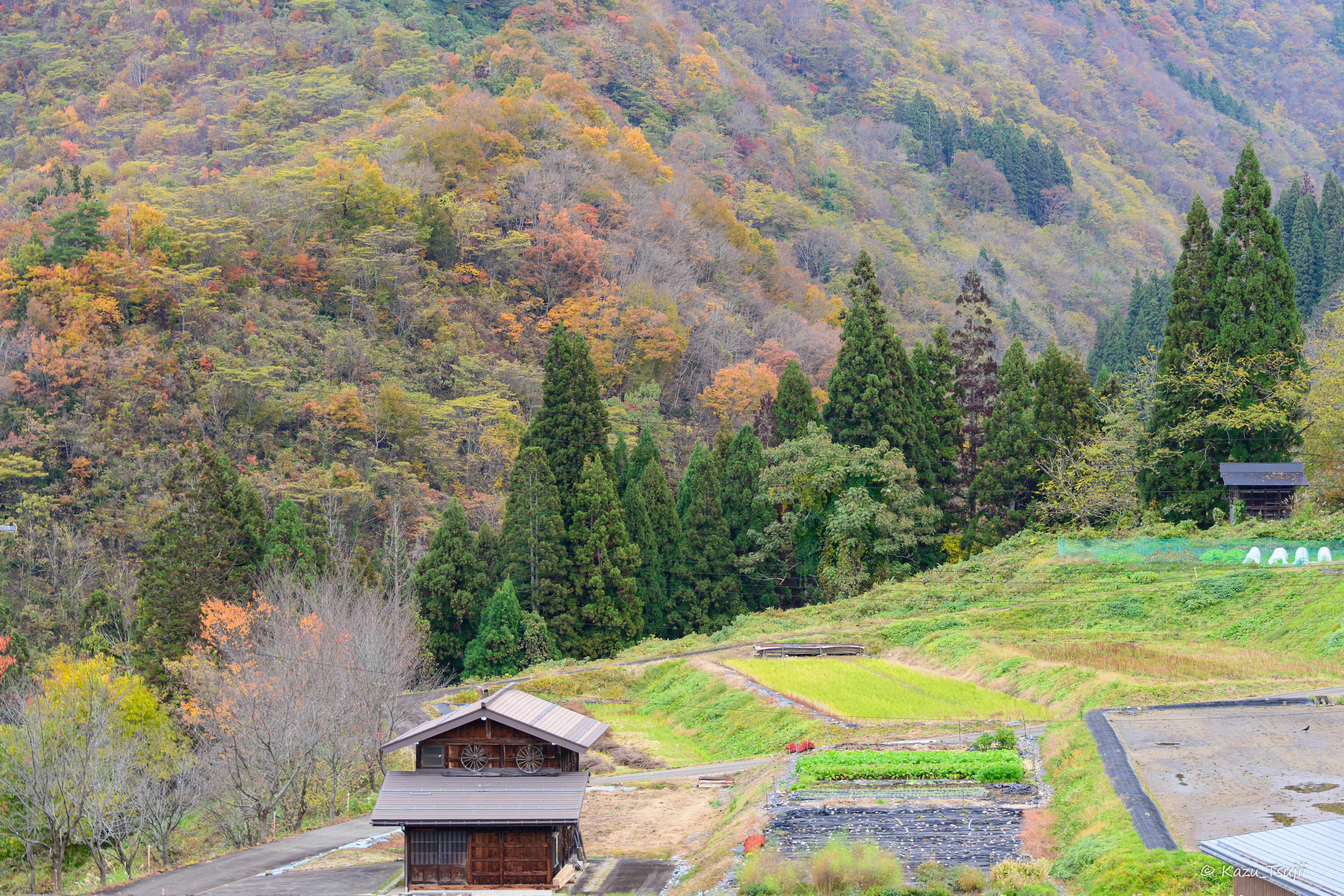 日本の原風景を探す写真紀行｜風景の物語を紡ぐ写真家カズ