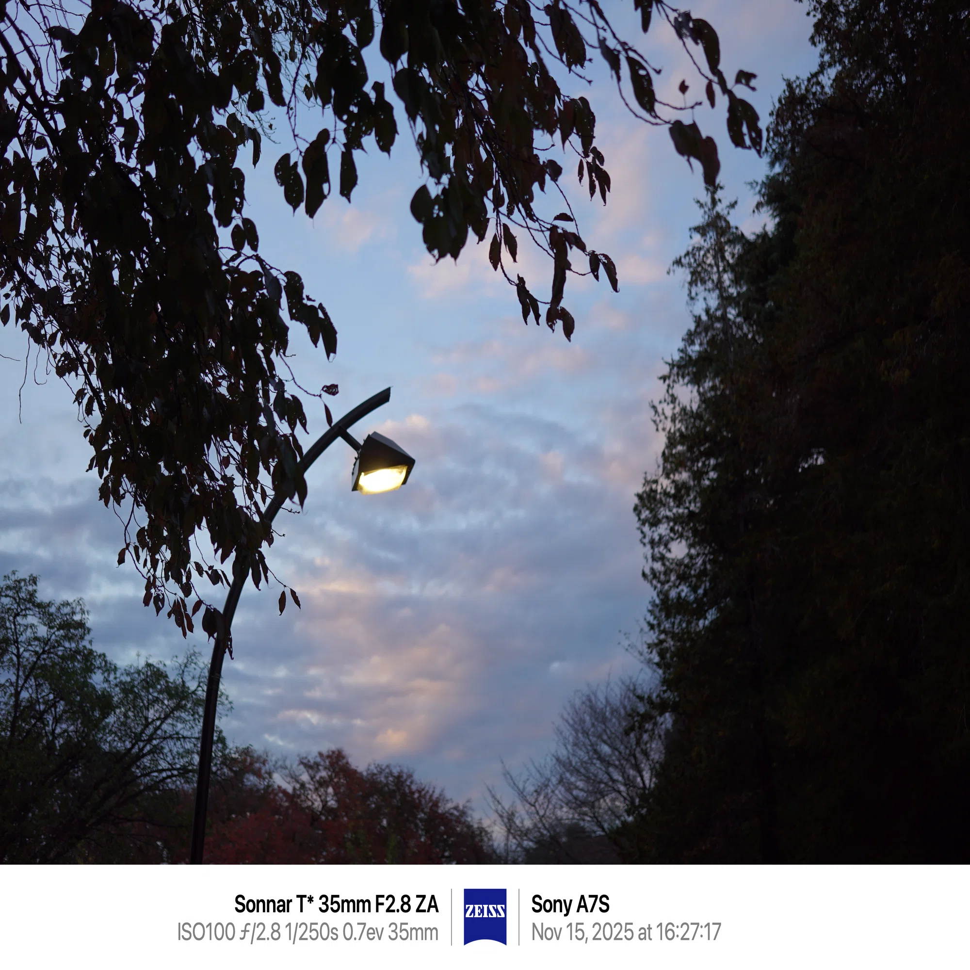 α7Sで砧公園の紅葉を撮ってみた｜まあ