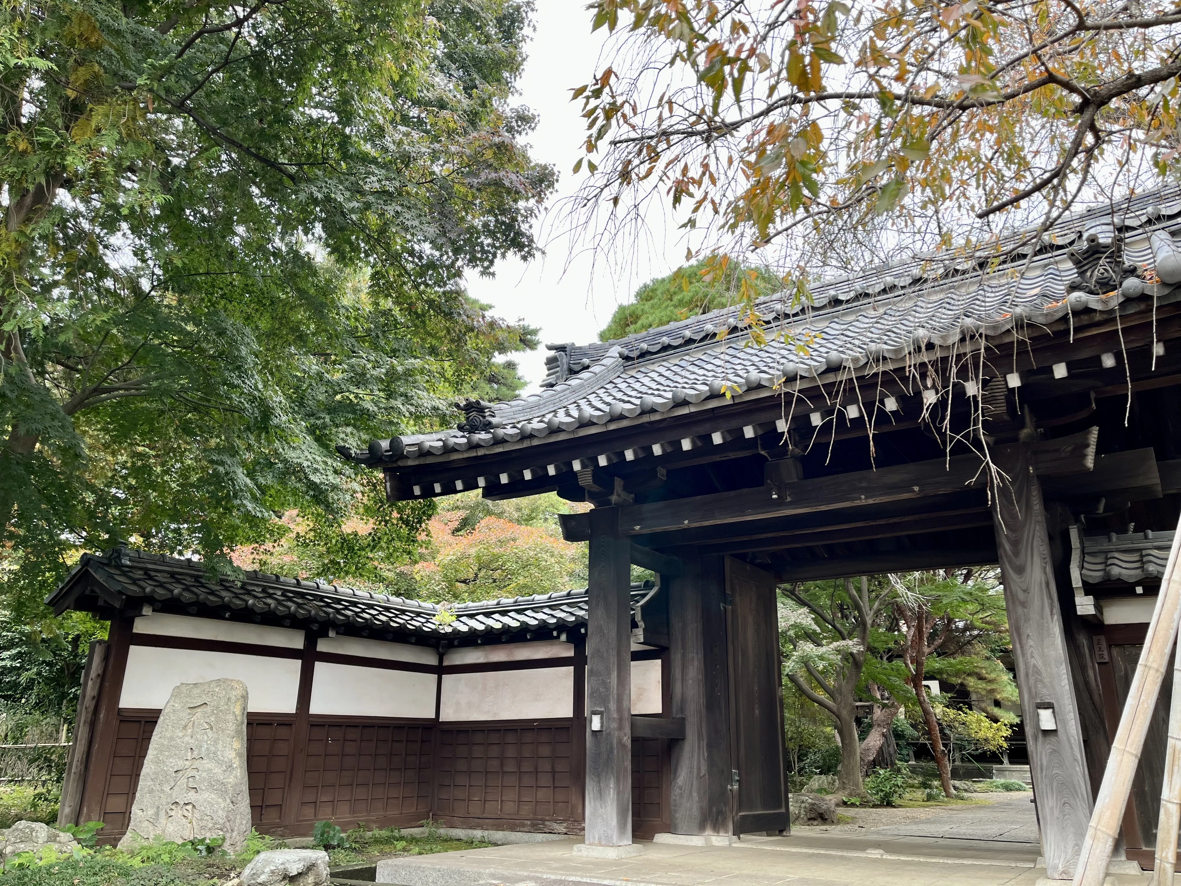 明朝末期(天啓年間1621~1627年)景徳鎮の輪花小皿 景徳鎮（けいとくちん