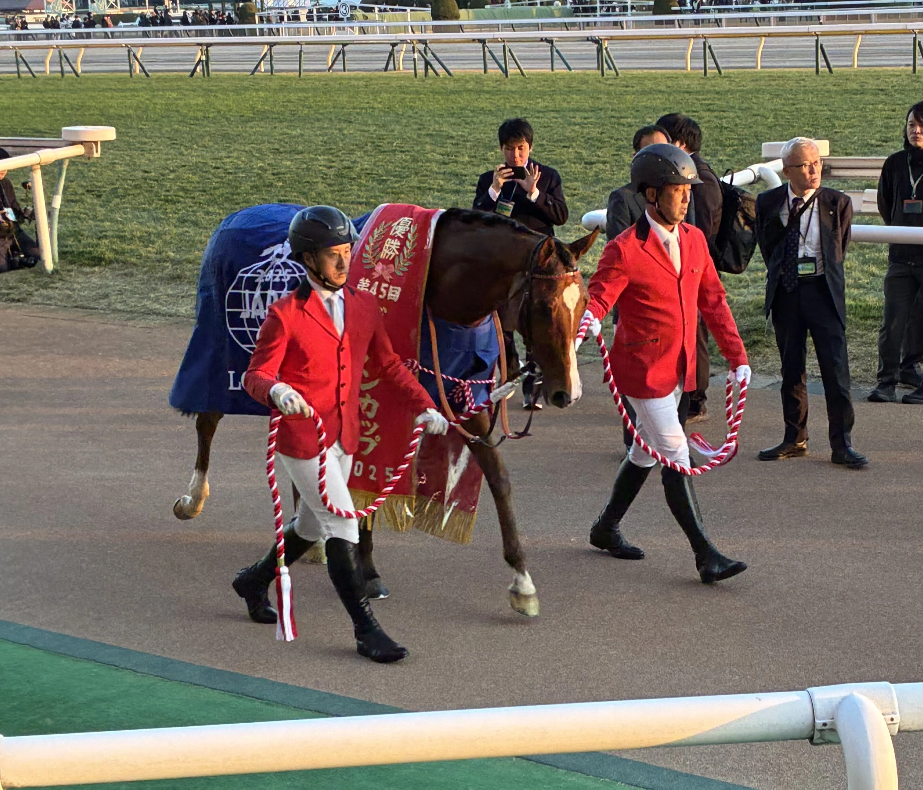 ジャパンカップ（GⅠ）回顧】推奨馬マスカレードボール2着～ゴール後