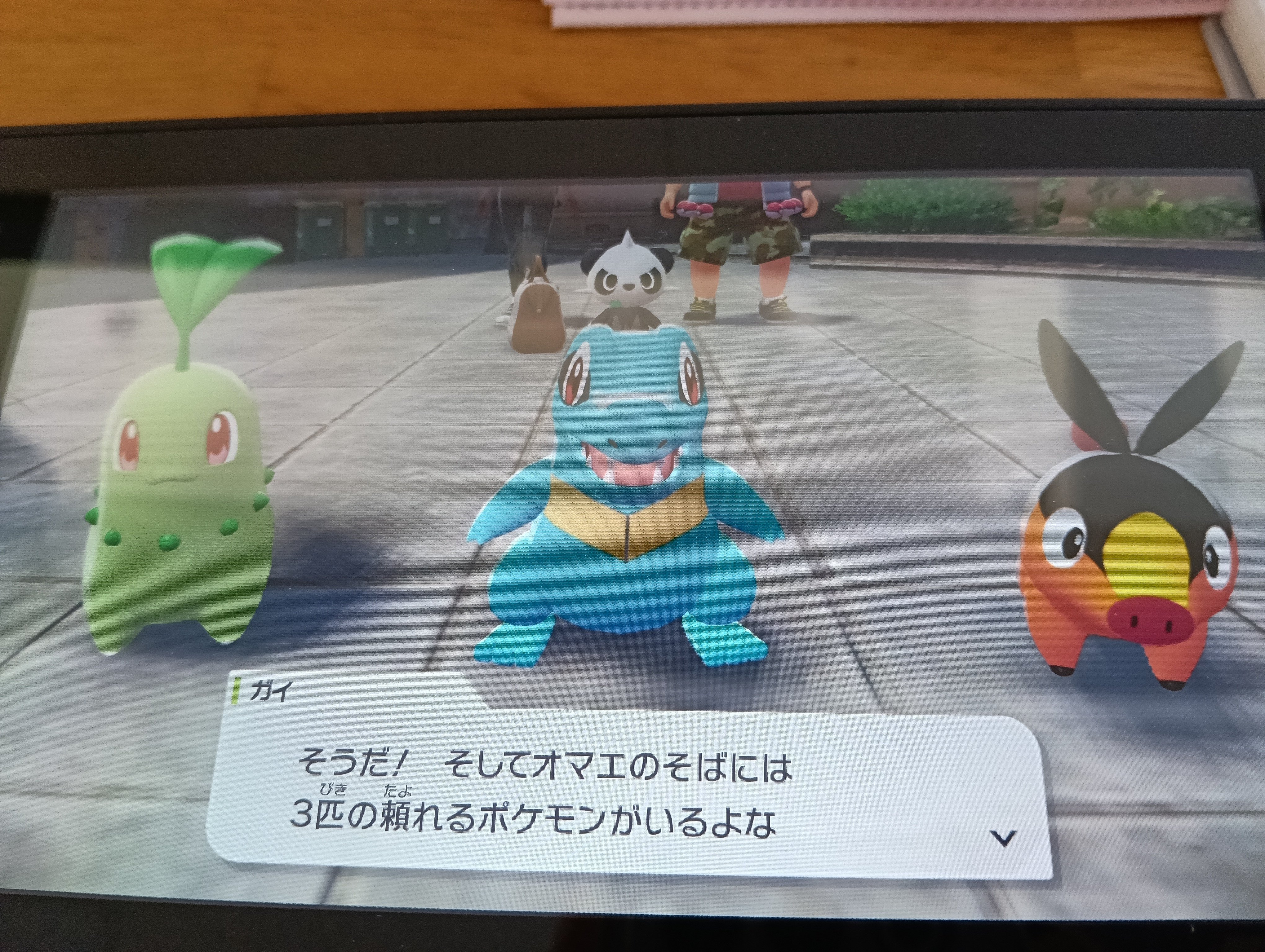 13年ぶりのポケモン】ポケモンZA LEGENDS やってみた｜ぽむ🐥3時3分の