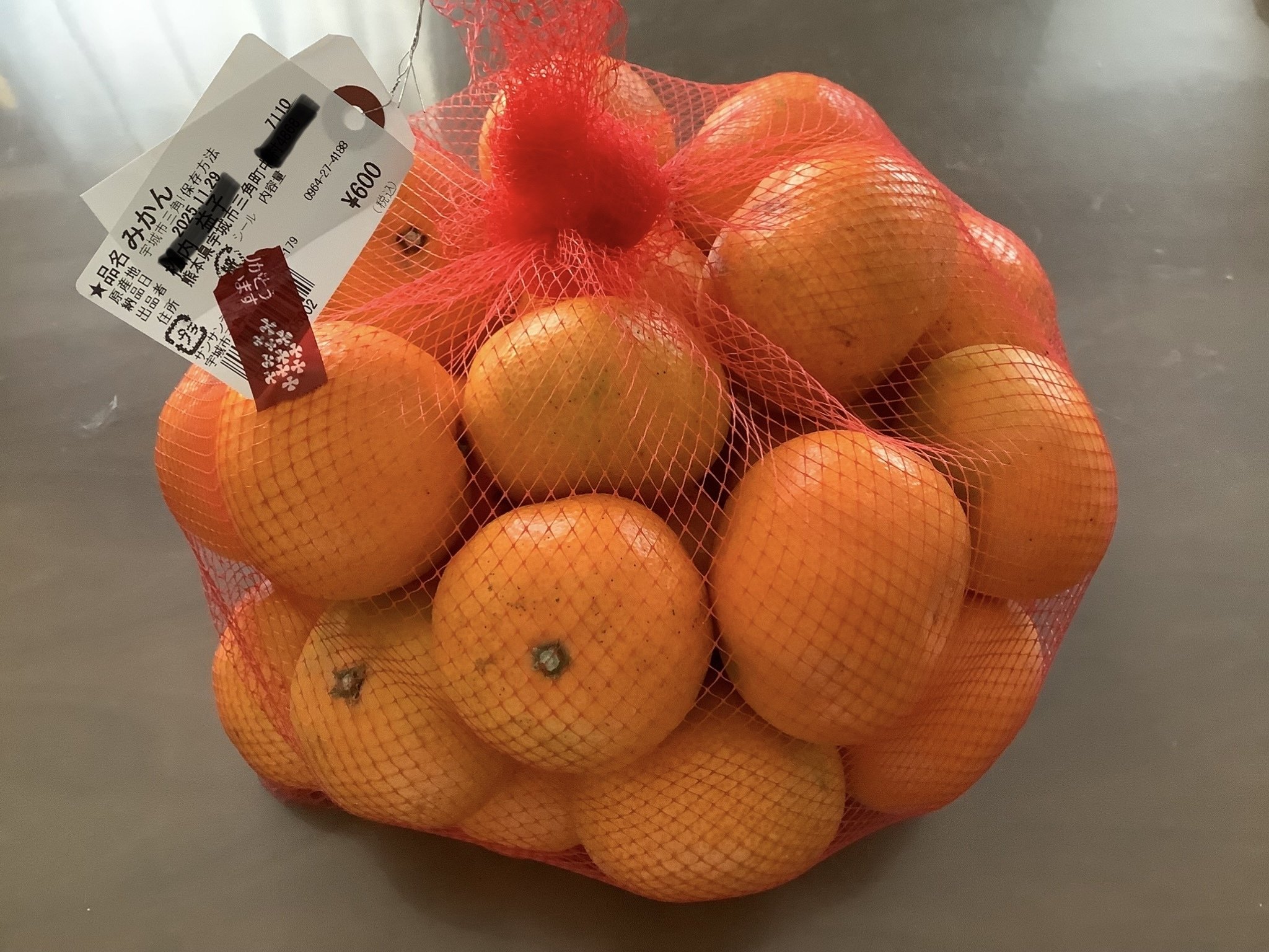 みかん様♡ありがとうございます♡ そうだ、三角みかんを買いに行こう！JR三角線編｜Pippi