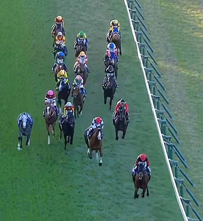 ジャパンカップ 2025 Calandagan a remporté la Japan Cup