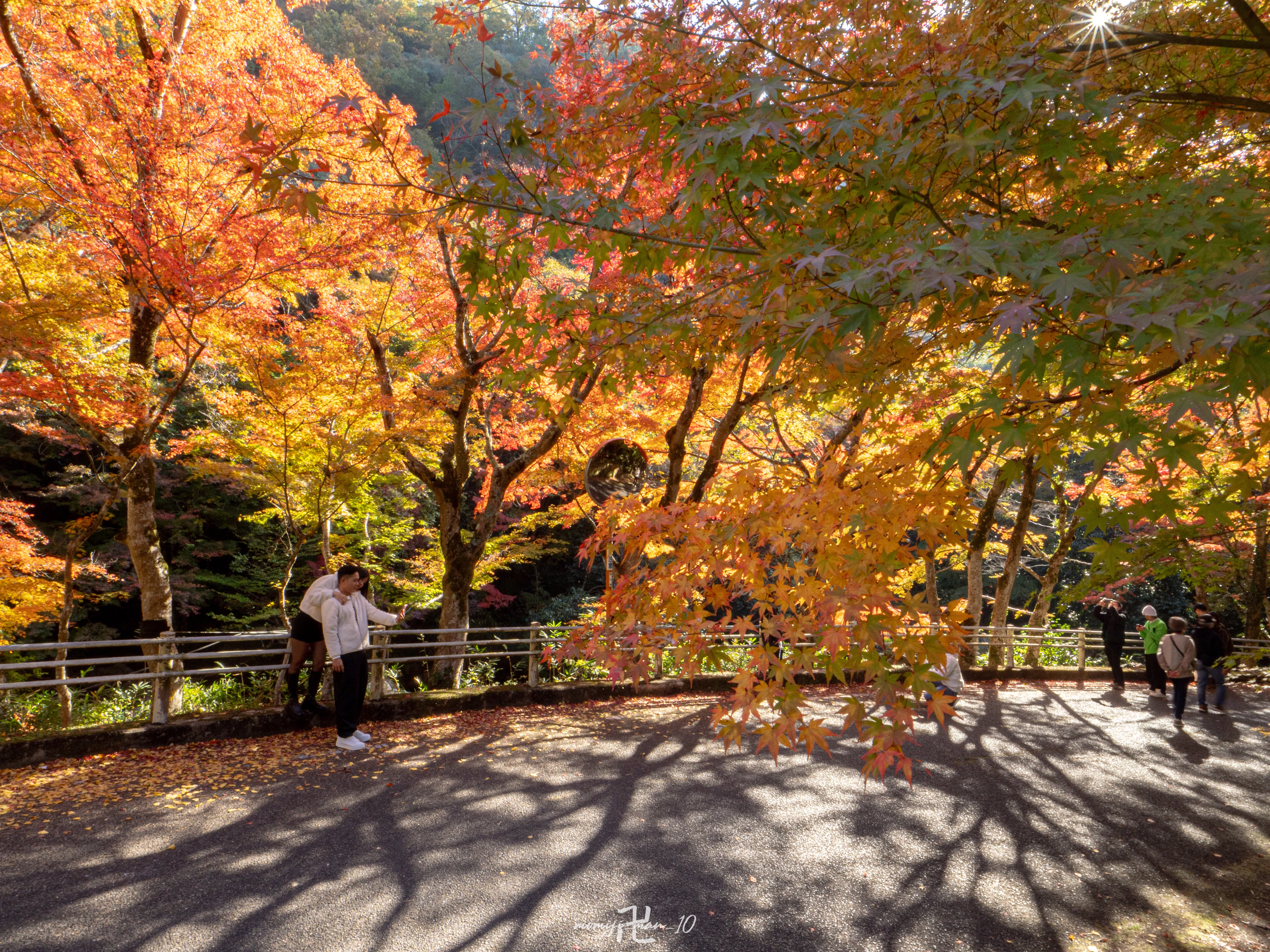 豪渓の紅葉を撮ってきた│OM SYSTEM｜もみじ卍ゅう