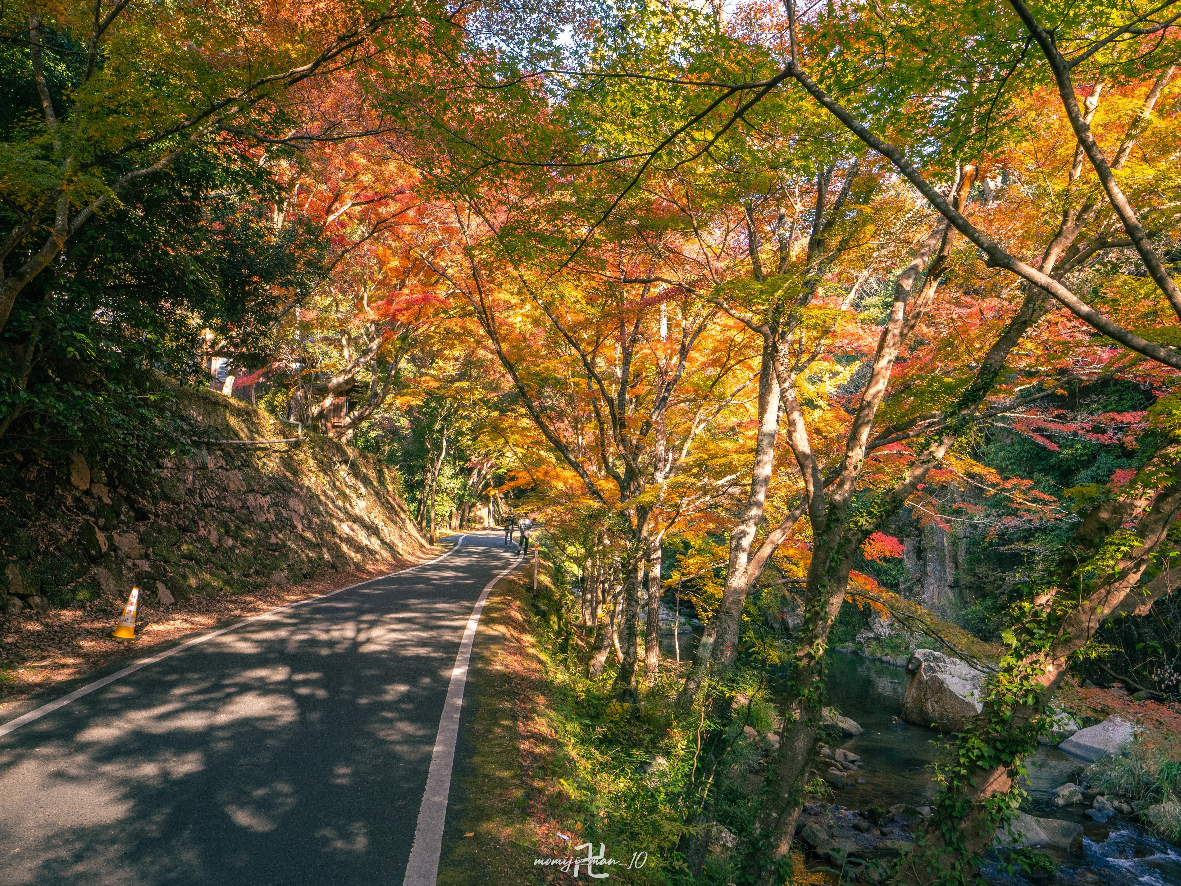 豪渓の紅葉を撮ってきた│OM SYSTEM｜もみじ卍ゅう