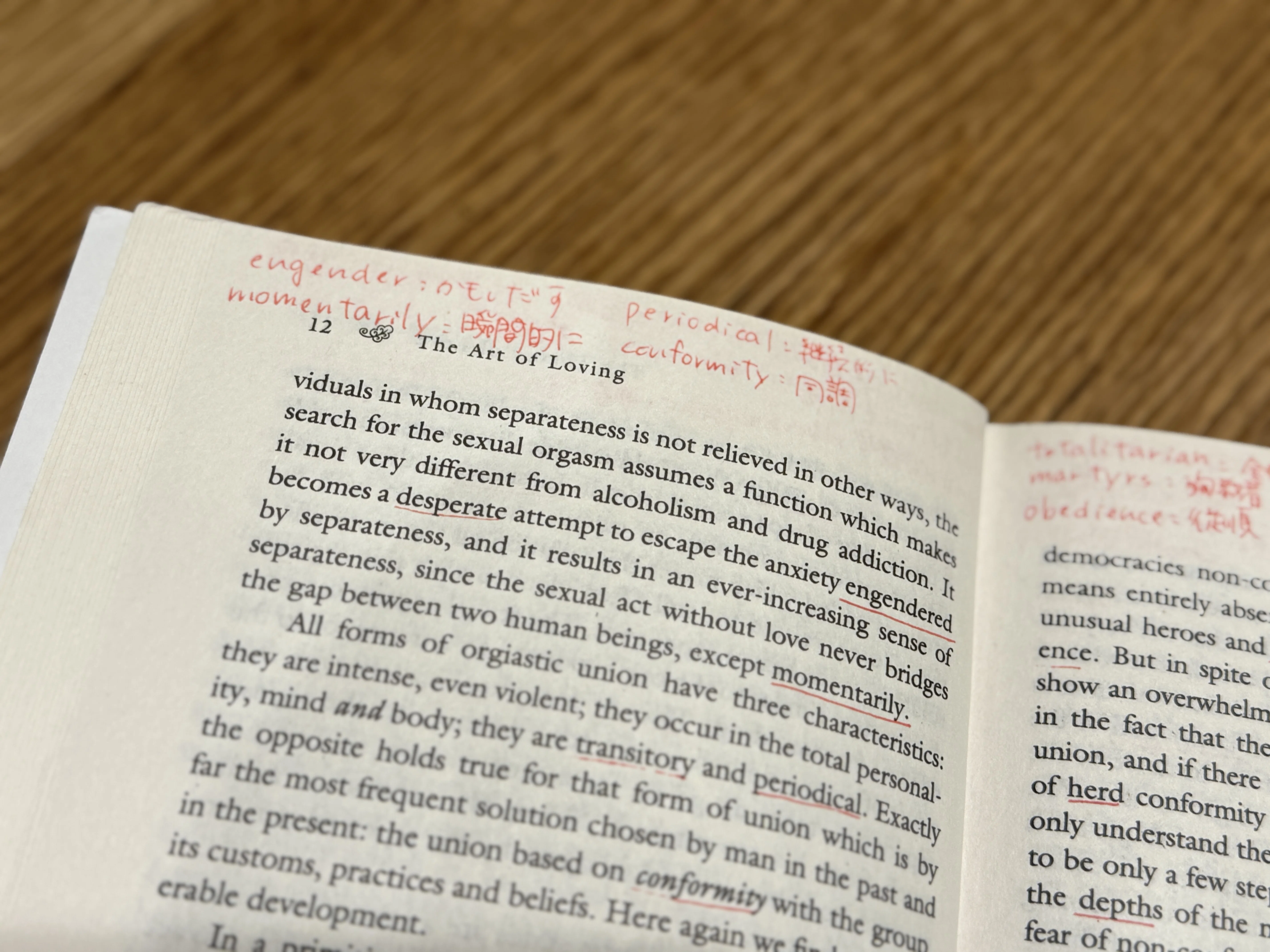 洋書を一冊完読するメリットと、コツ｜Ryoko Tomura（戸村涼子）