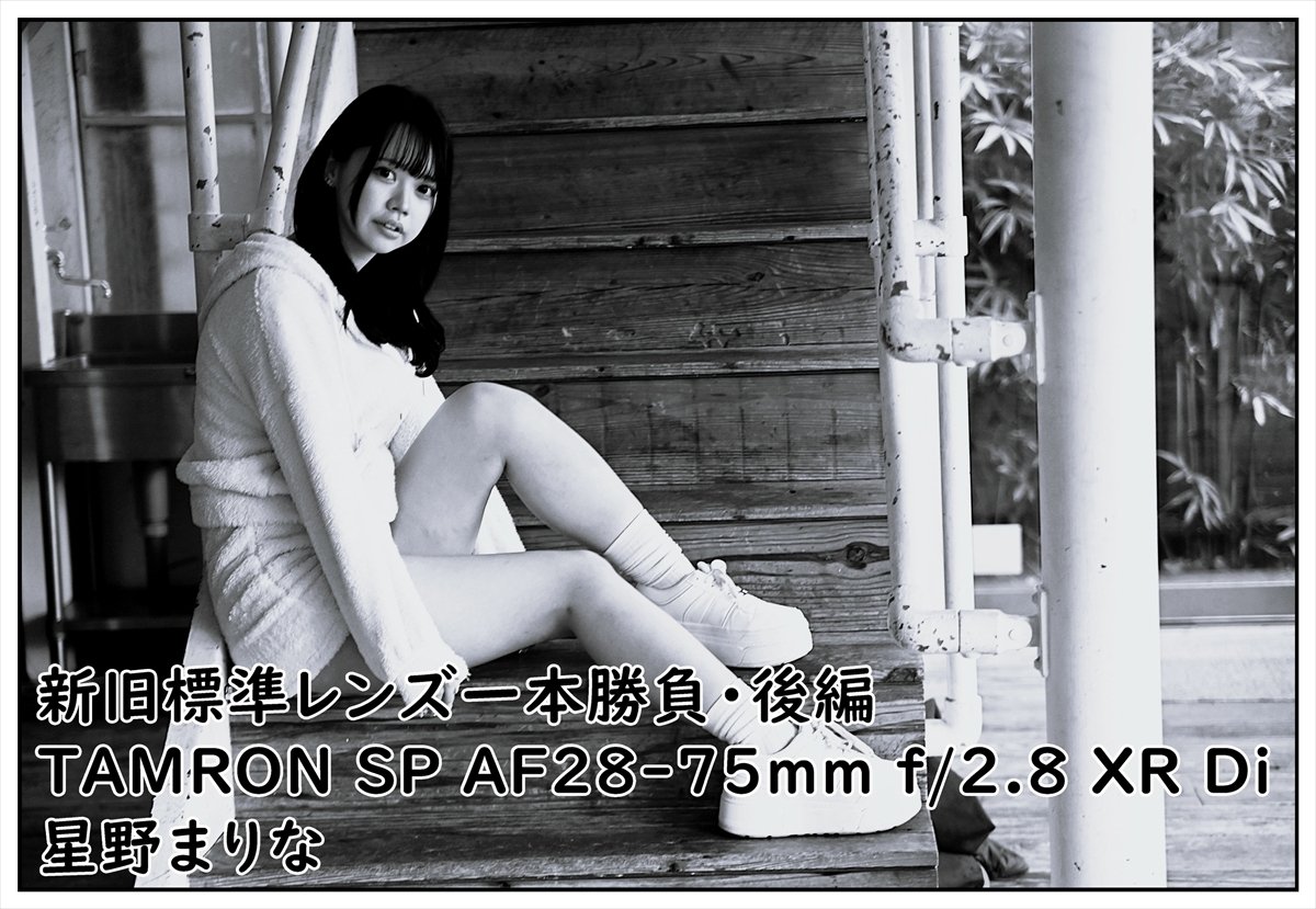 新旧標準レンズ一本勝負・後編｜たぬき写真工房