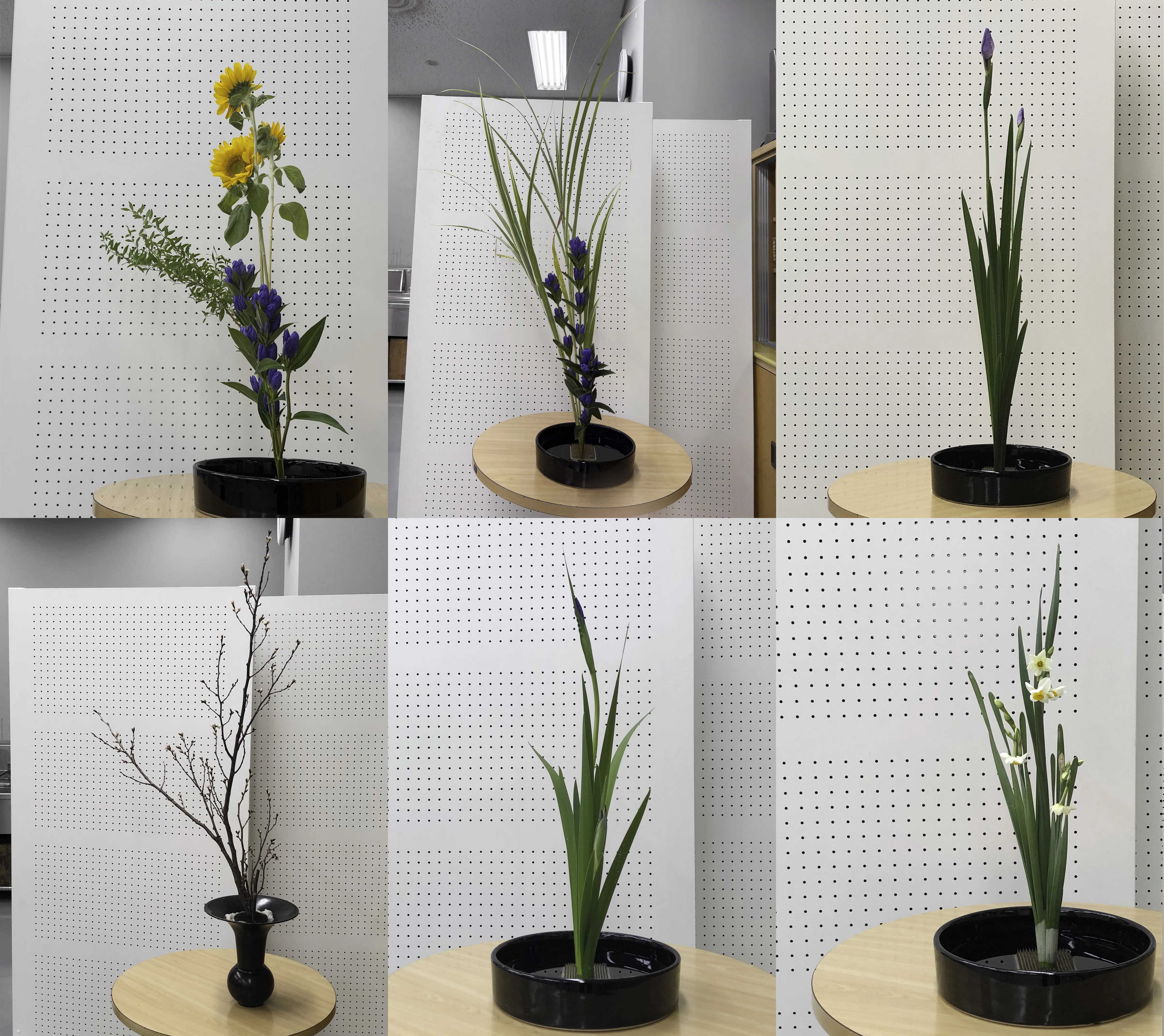 レポート：池坊「男花展2025」- 生花の展覧会へ初出展｜中村まろ