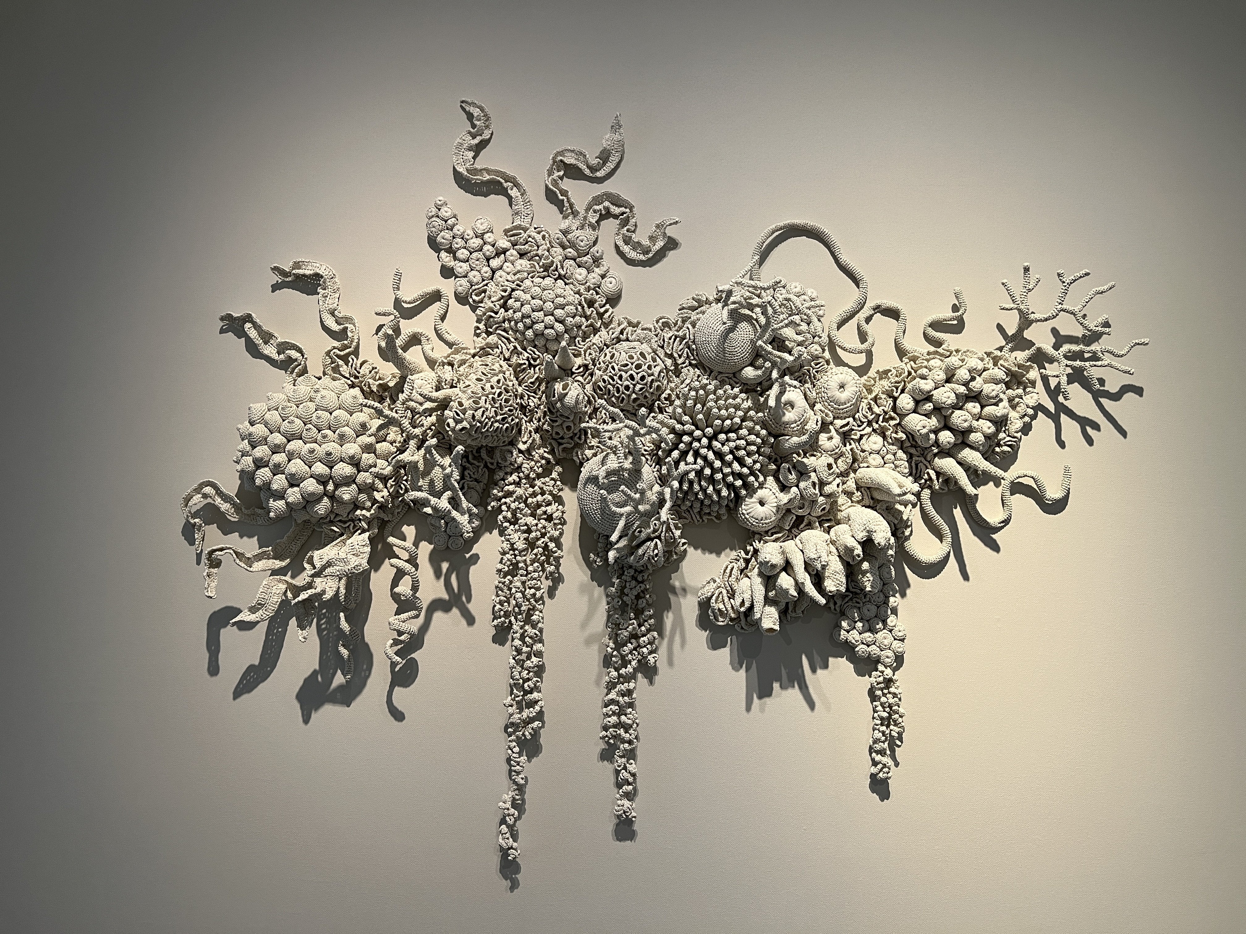 国際芸術祭あいち2025/灰と薔薇のあいまに｜オゼキカナコ