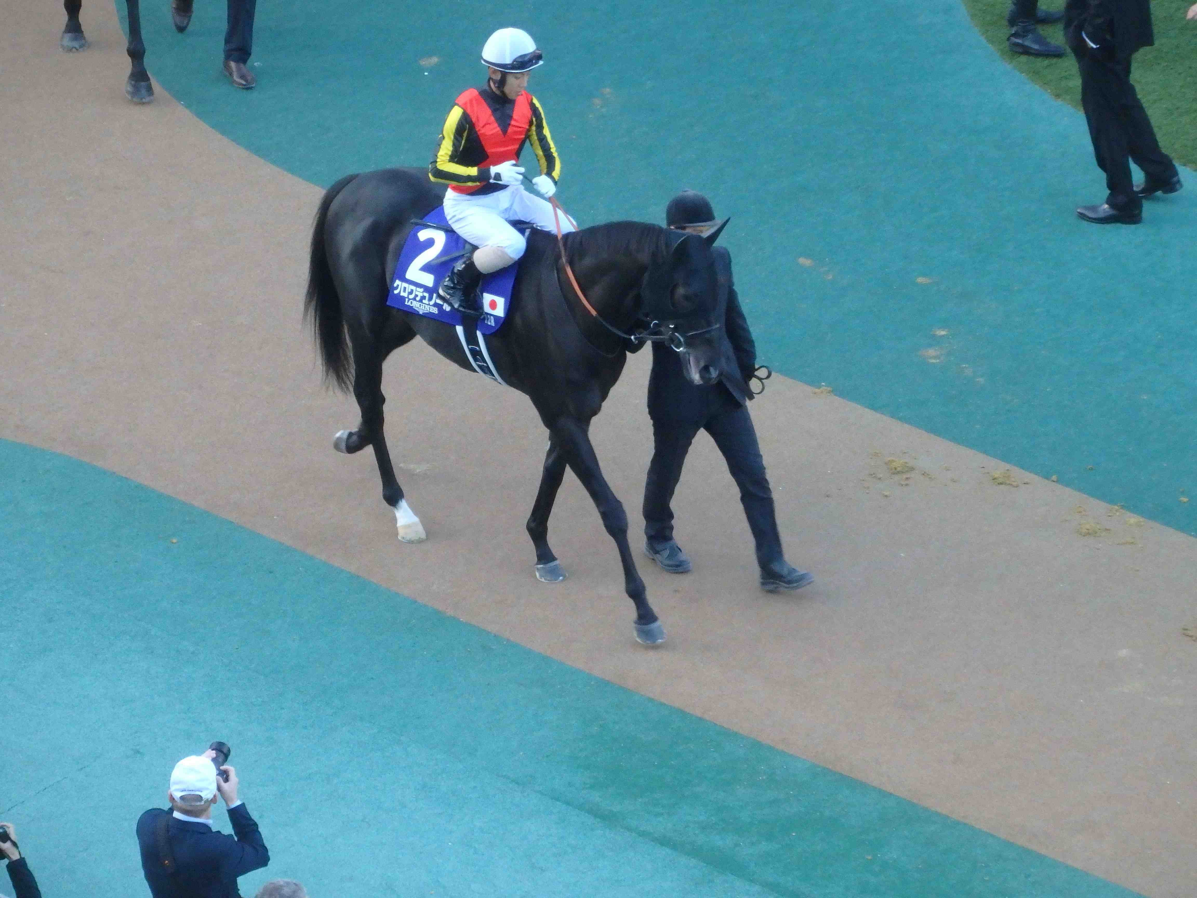 驚愕のレコード走、カランダガン｜katopu