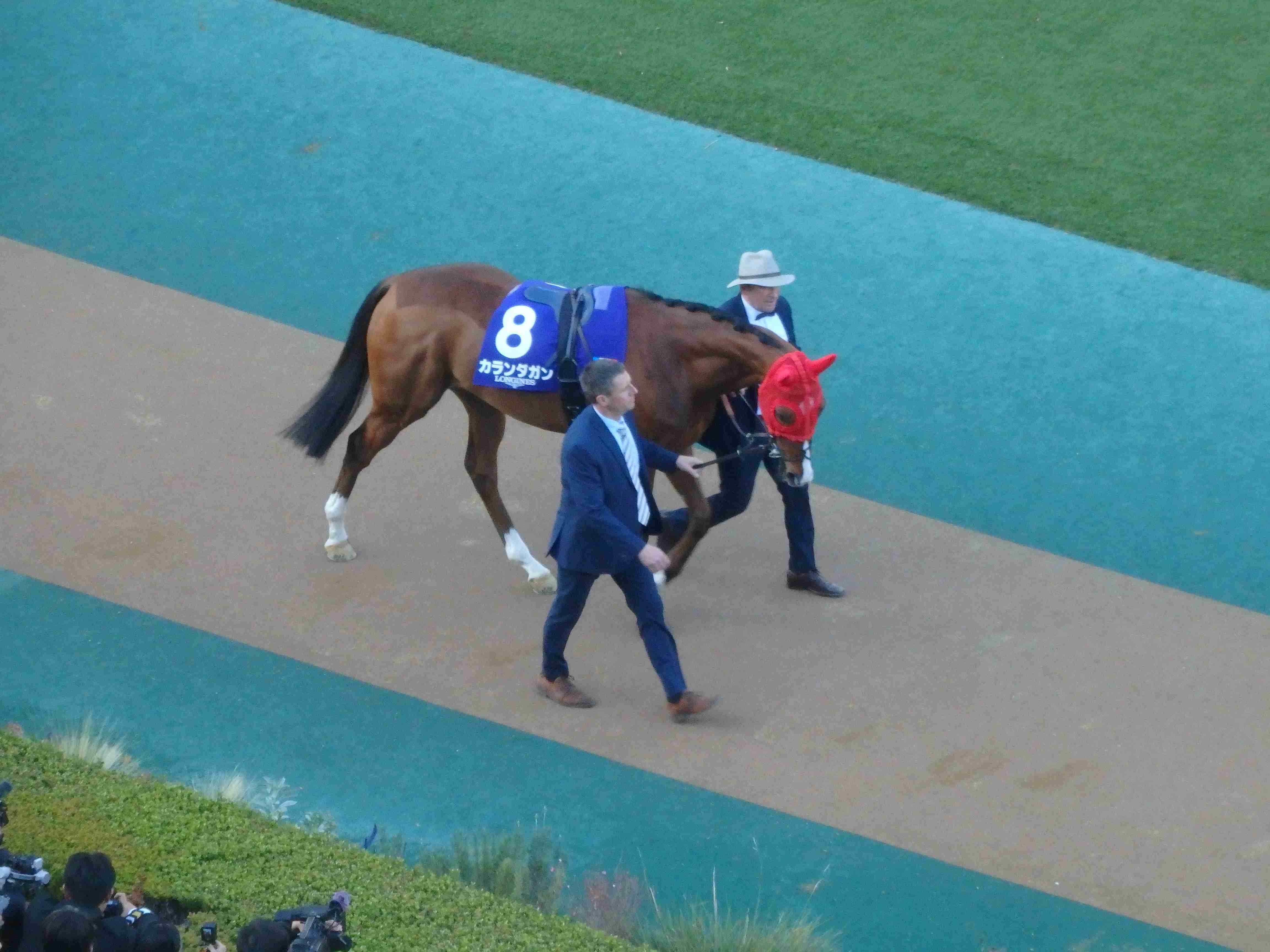 驚愕のレコード走、カランダガン｜katopu