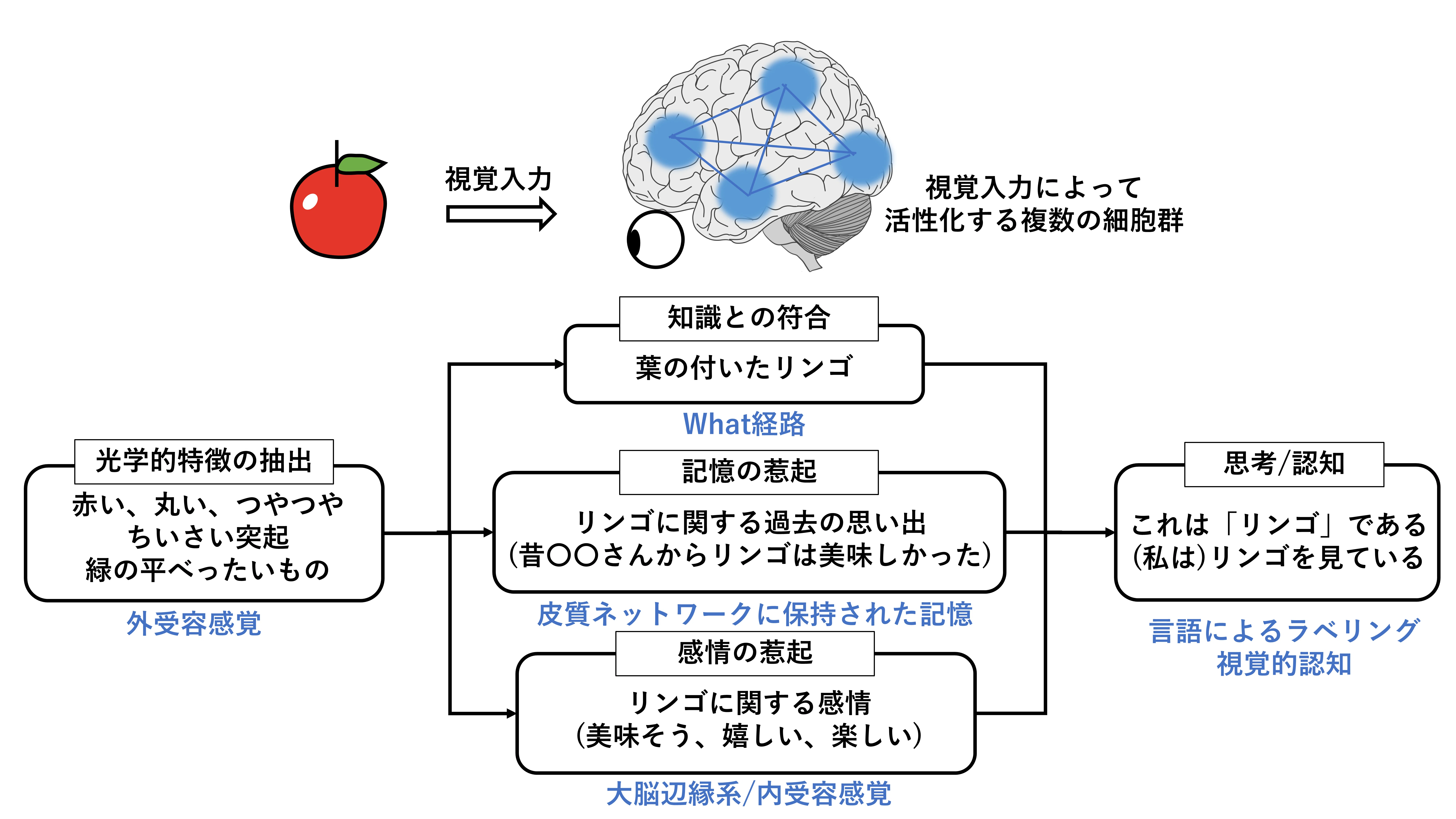 意識における知覚と弁別：生成AIは意識を持つのか -AIは”羊電気”の夢を