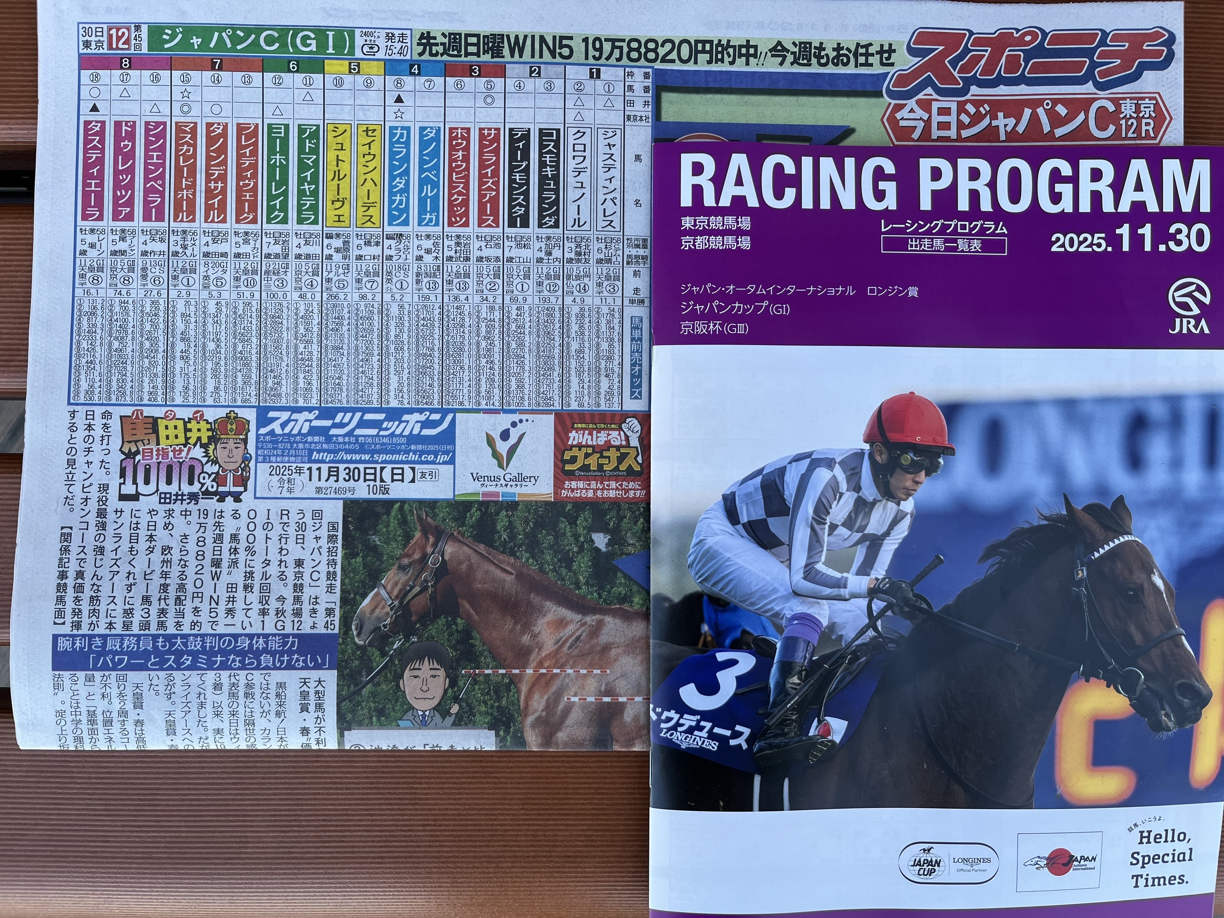 ケールハイム 新馬戦3着！ 現地観戦記録 & 次の出走レースは