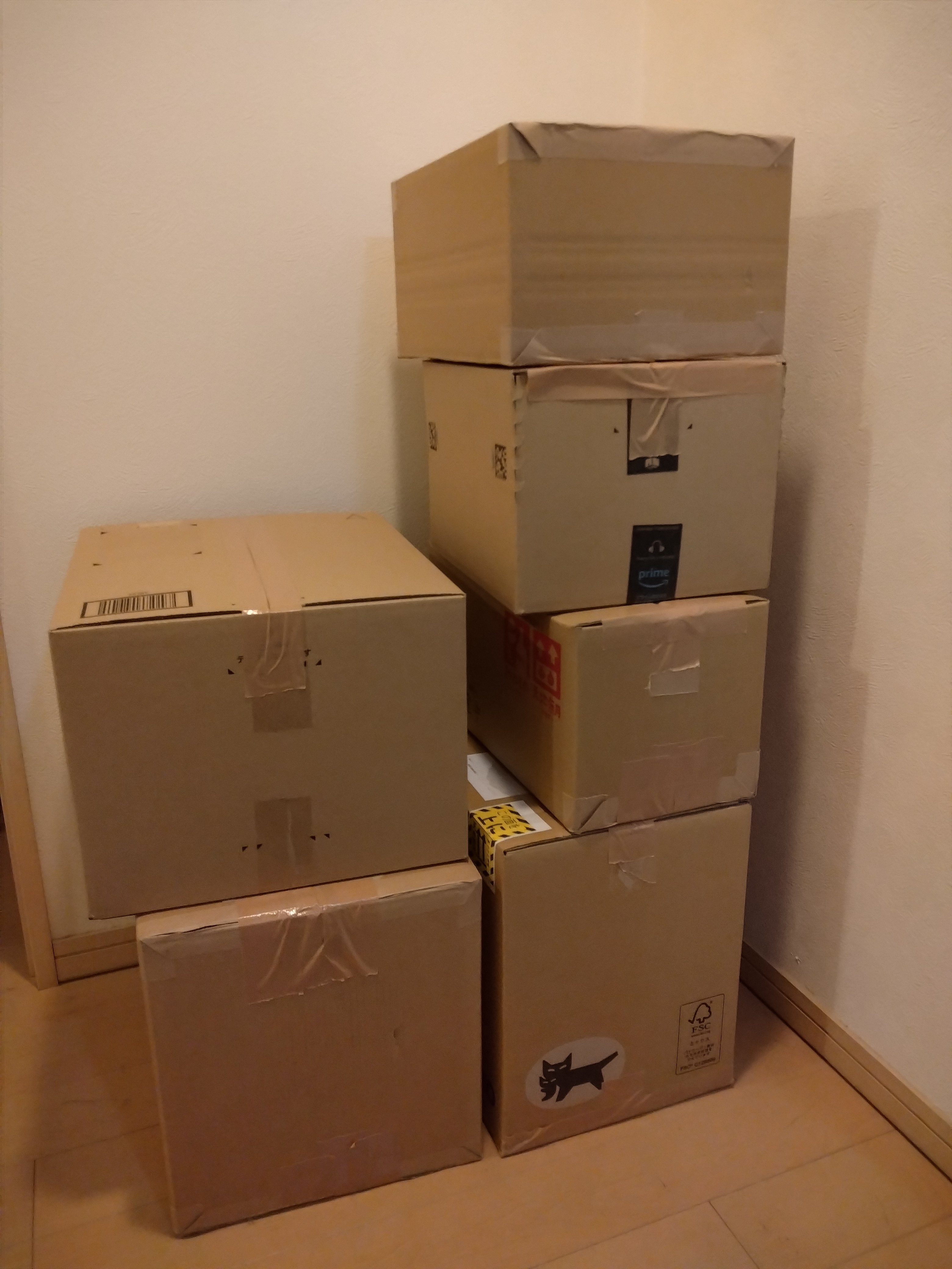 最近、本を断捨離してます｜西島