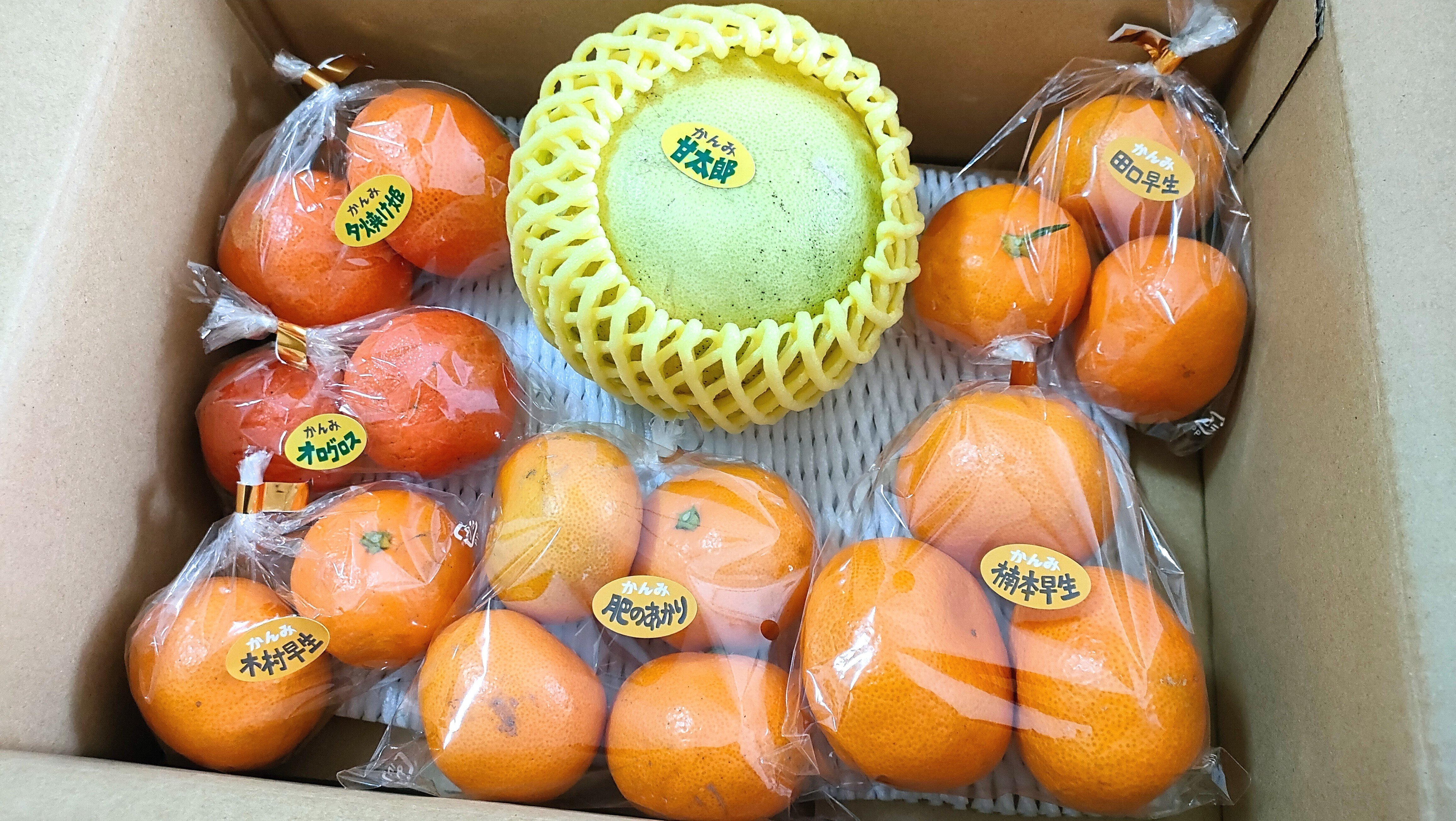 柑橘のサブスク かんみ】11月号 ｜みな