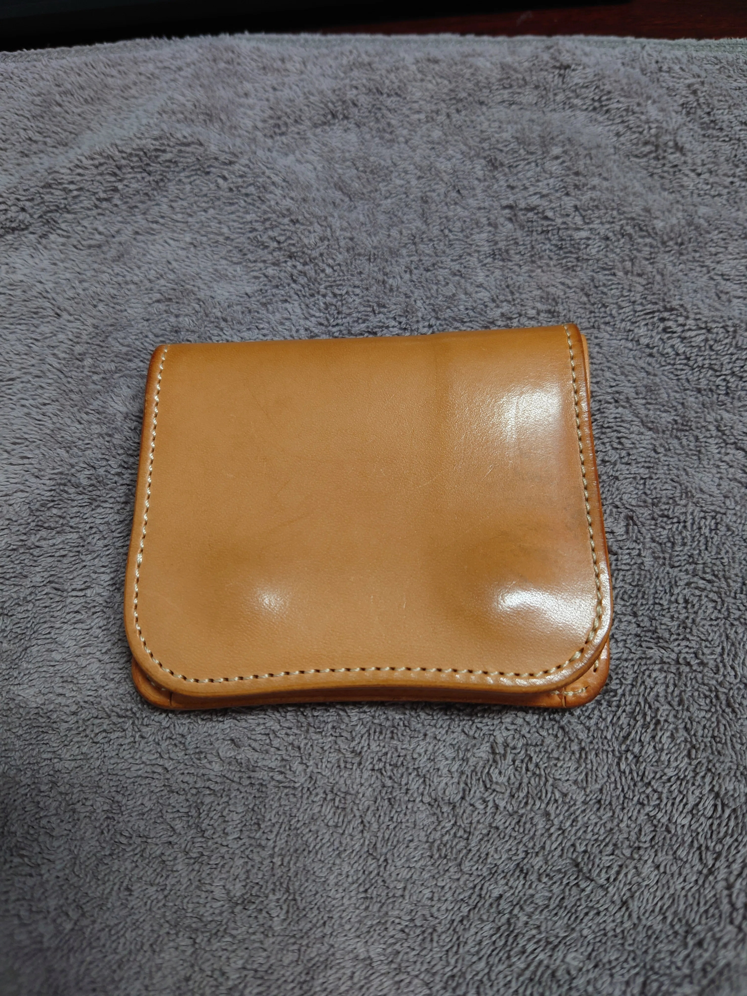 ワイルドスワンズ パーム 見つけました｜コウのつぶやき