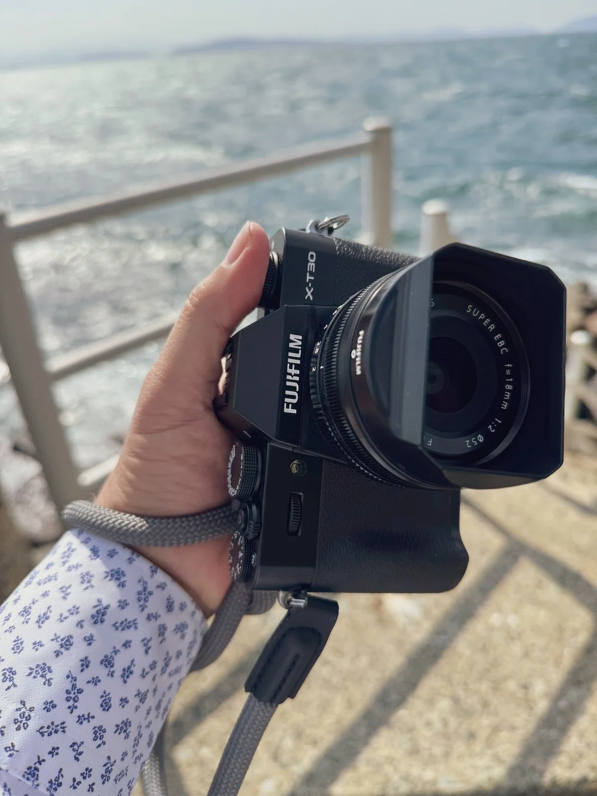 FUJIFILM X-T30III使ってみたよ｜猫写真家 あおいとり