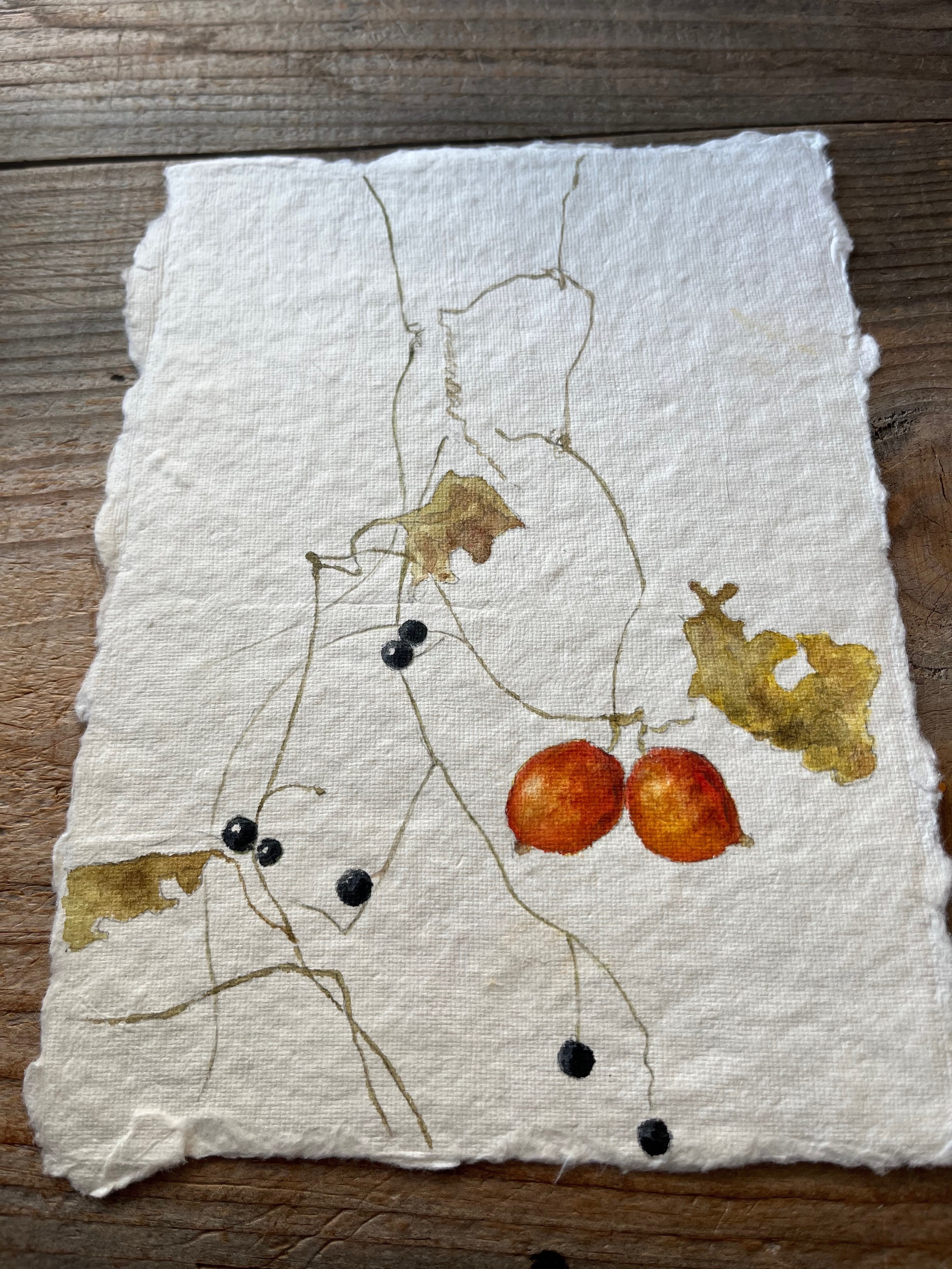 カラスウリ｜toti