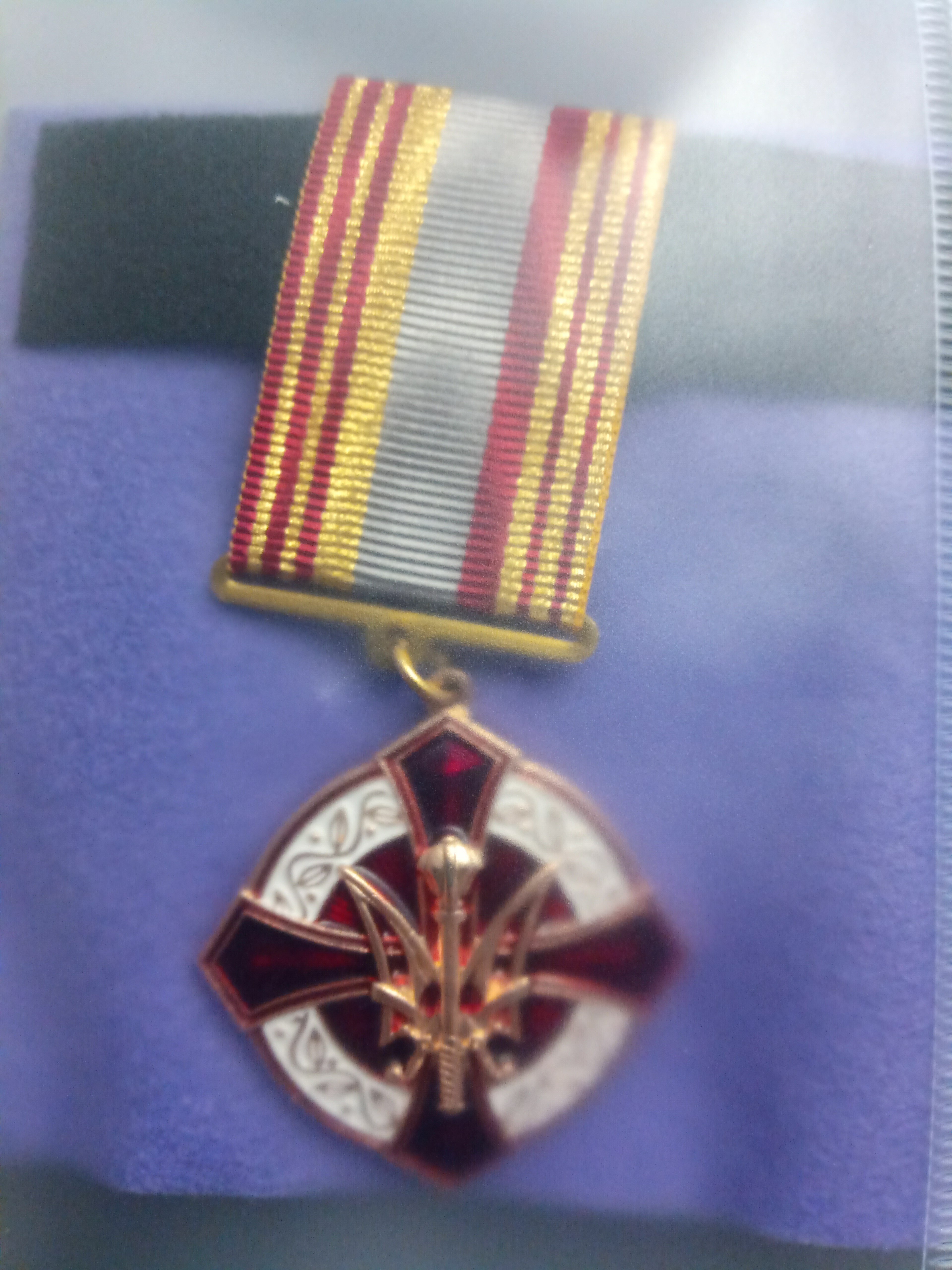 ようやく あの二つのメダルの謎が解決｜COPAN